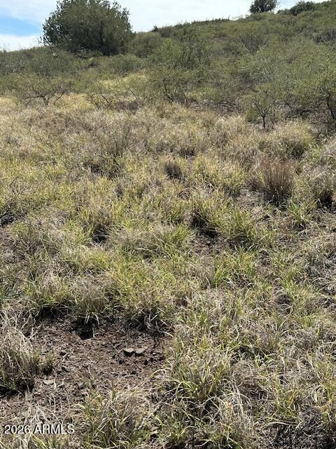 BENSCH RANCH UNIT 1 - Land