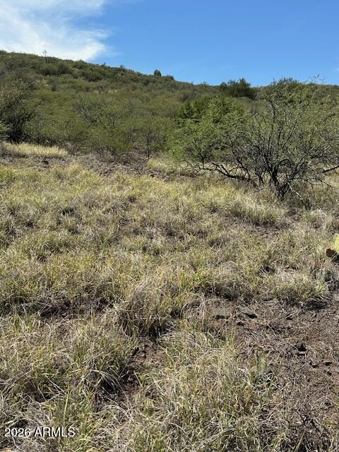 BENSCH RANCH UNIT 1 - Land