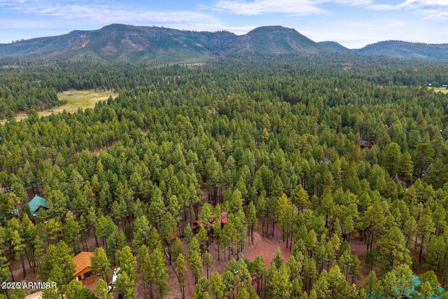 PINE RIDGE ESTATES - Residential