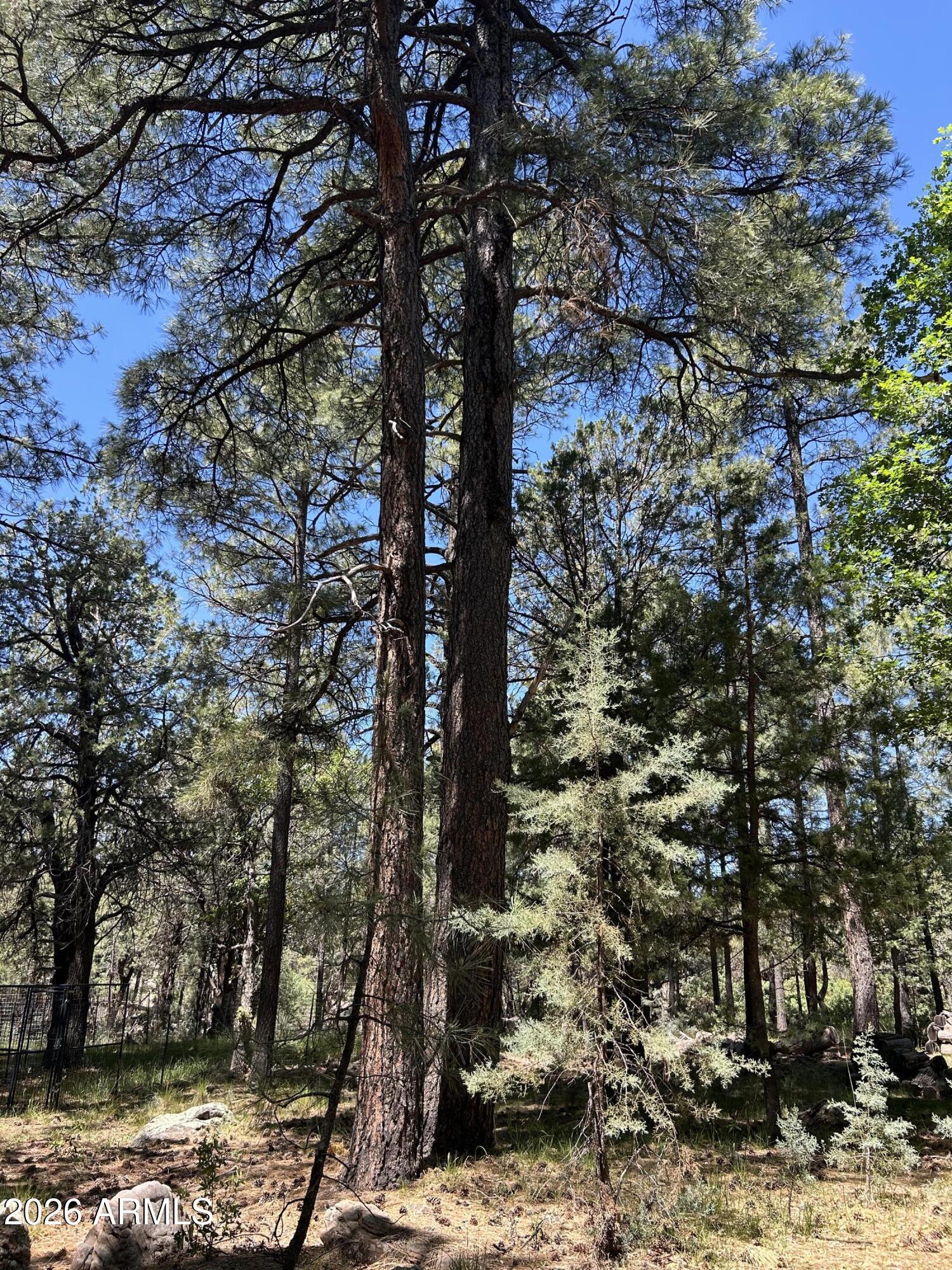ELLISON CREEK ESTATES UNIT 2 - Land