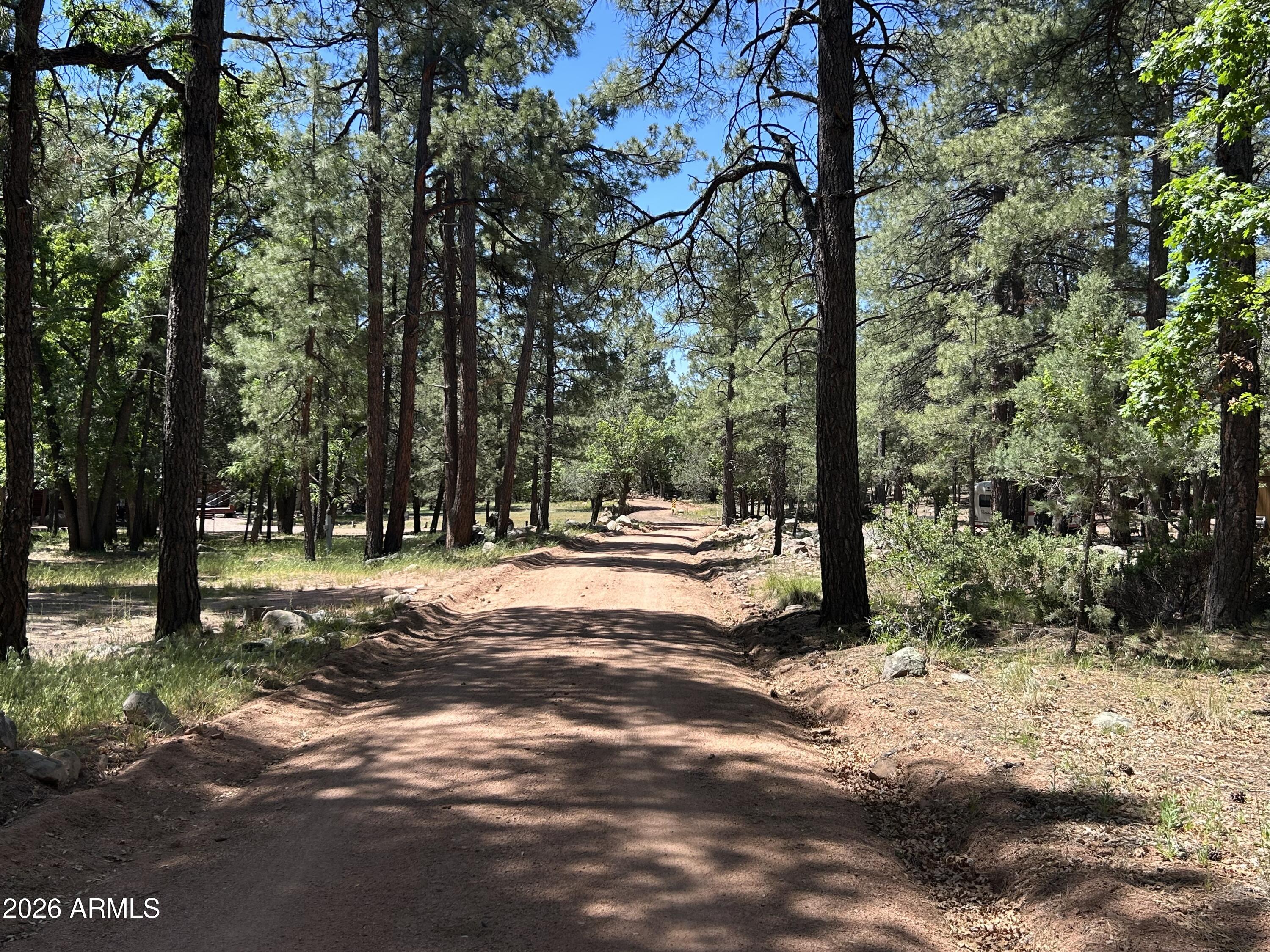 Majestic Trees on Majestic Elk! Gorgeous premium corner lot in Ellison Creek Estates. Peace and solitude await. APS electric on property. Shed on property conveys with sale. Seasonal Ellison Creek is just a few short steps away. Check out the Sat Map to see the incredible Ponderosa cover. Nearby 'Rim Country' lakes abound! The Tonto Creek / Fish Hatchery is also close and accessible on well maintained roads. Hiking and outdoor opportunities are plentiful. Abundant wildlife and picturesque landscape are a feast for the eyes. Whether you're looking for a part-time getaway to escape the valley heat or a full-time residence, settling among the tall pines is a perfect choice! 2023 East to West 36' Della Terra 292MK Travel Trailer on-site is available for purchase with a separate Bill of Sale.