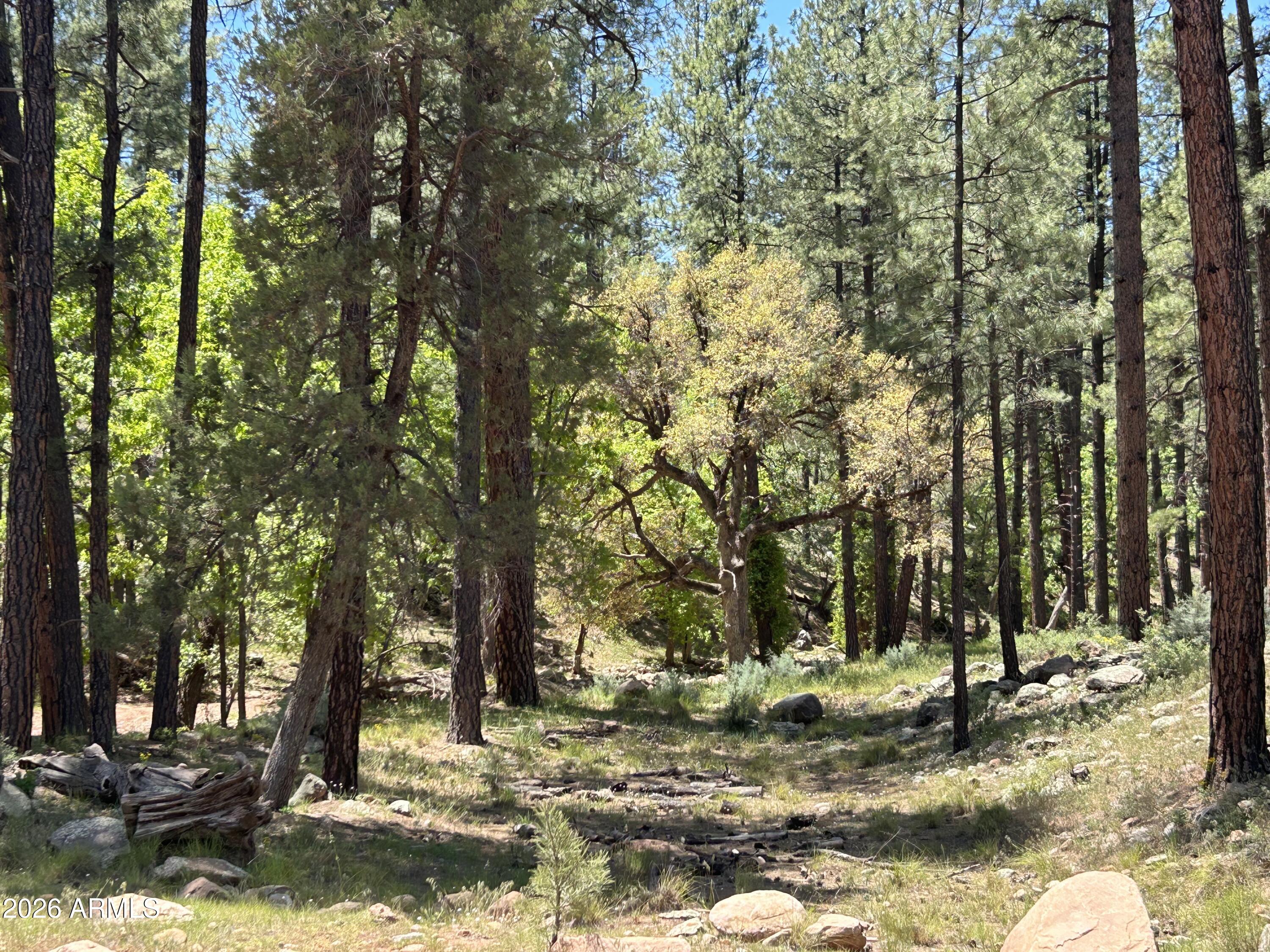 ELLISON CREEK ESTATES UNIT 2 - Land