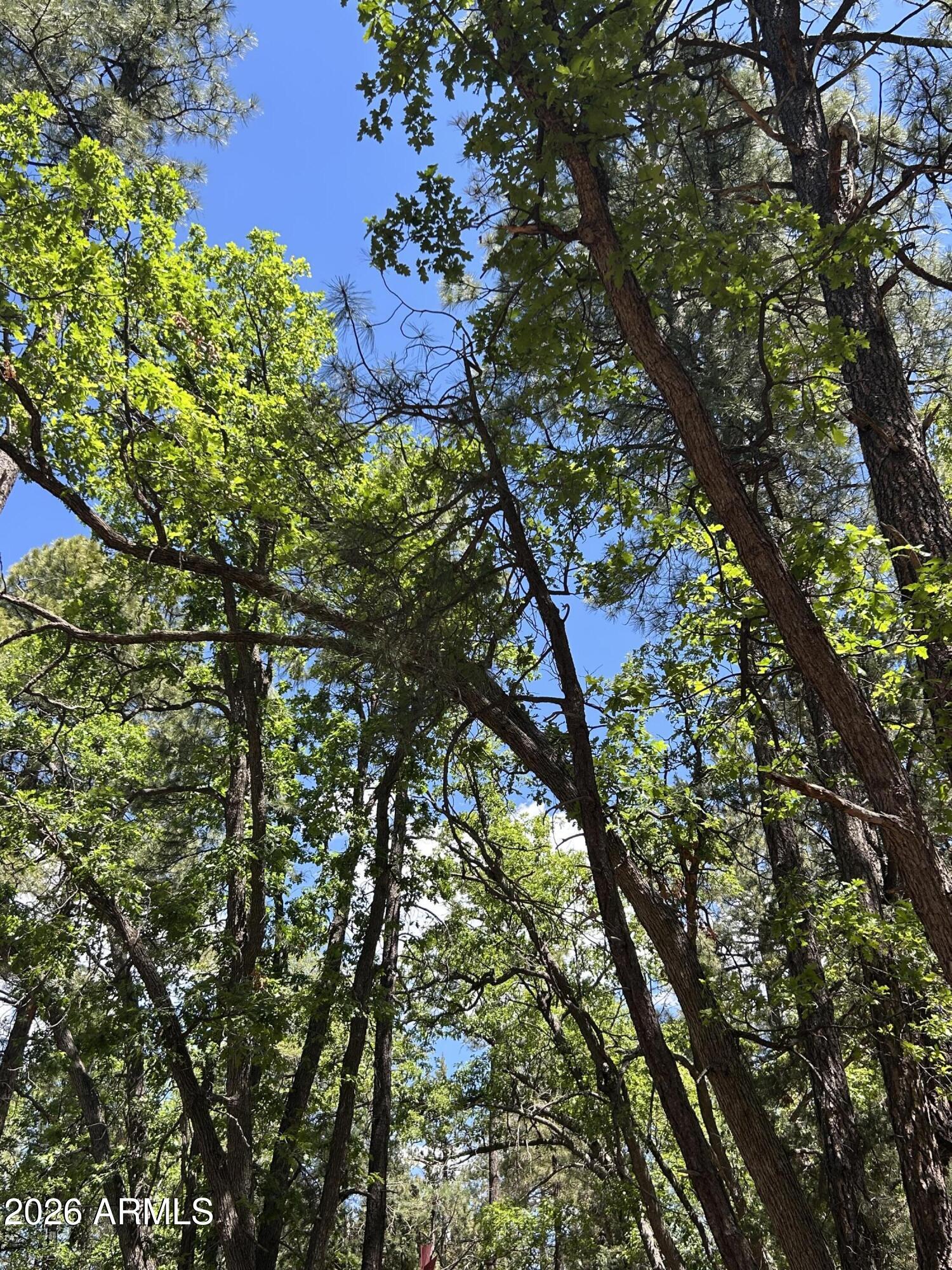ELLISON CREEK ESTATES UNIT 2 - Land