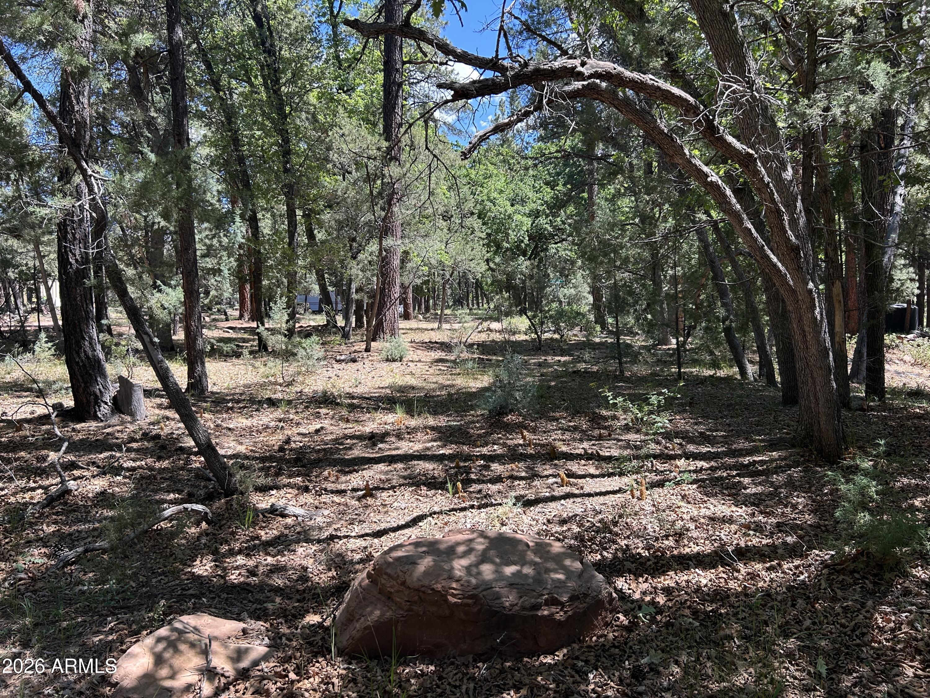 ELLISON CREEK ESTATES UNIT 2 - Land