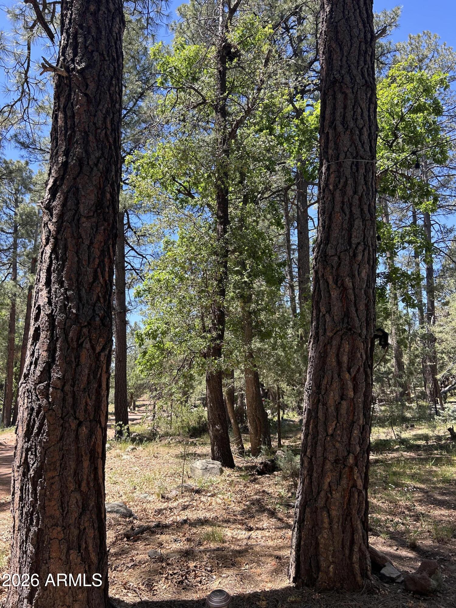 ELLISON CREEK ESTATES UNIT 2 - Land