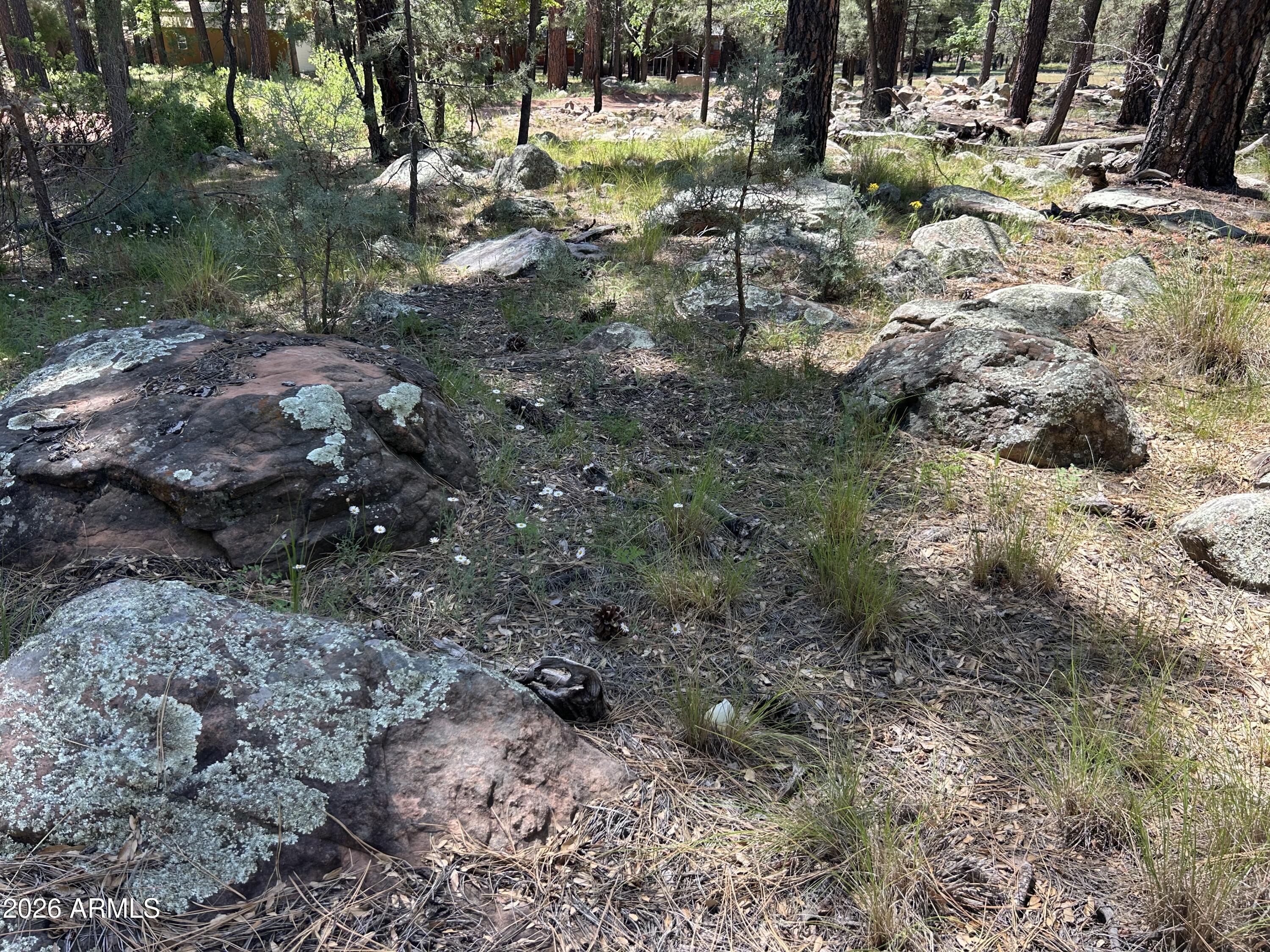 ELLISON CREEK ESTATES UNIT 2 - Land