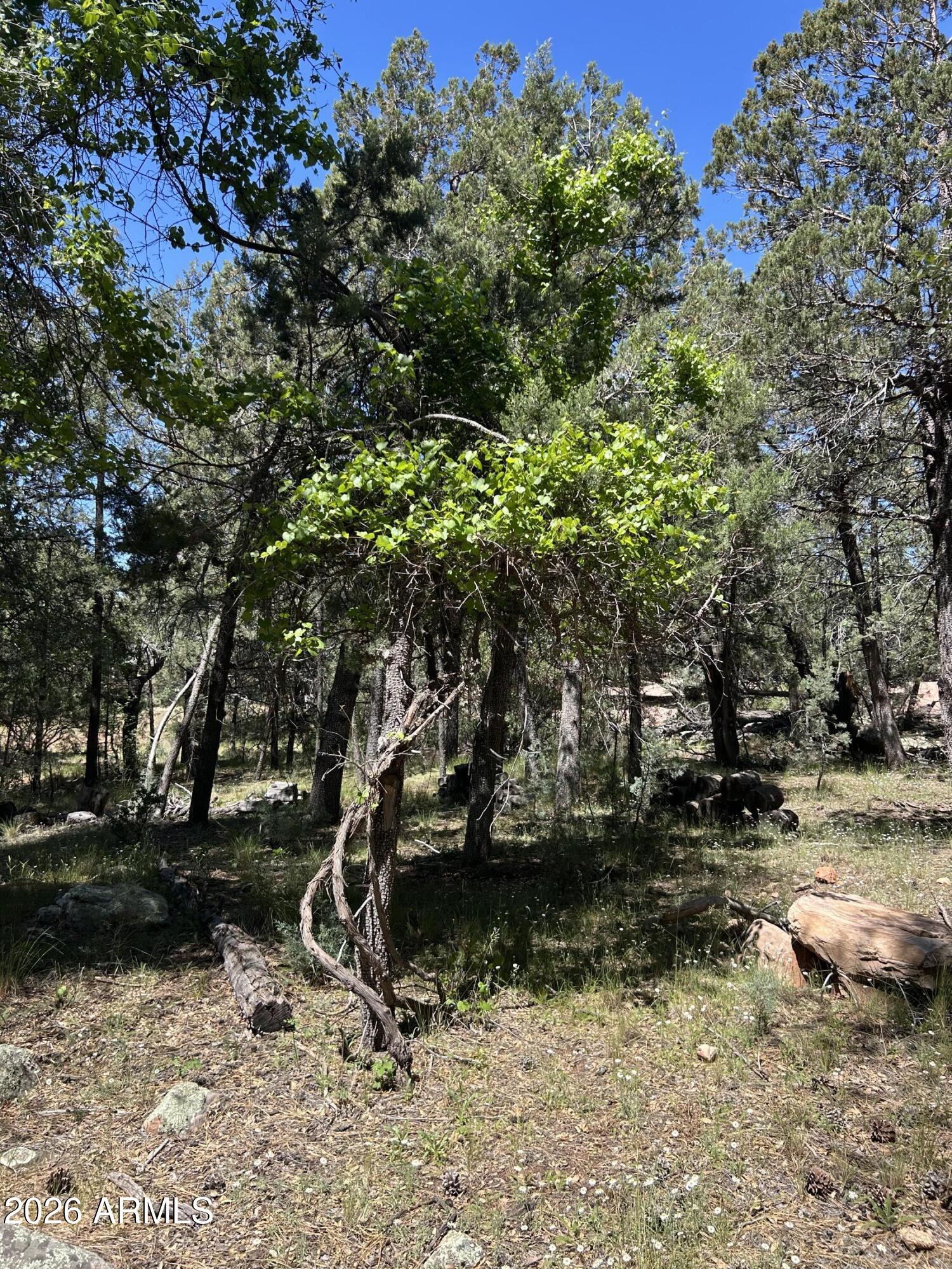ELLISON CREEK ESTATES UNIT 2 - Land