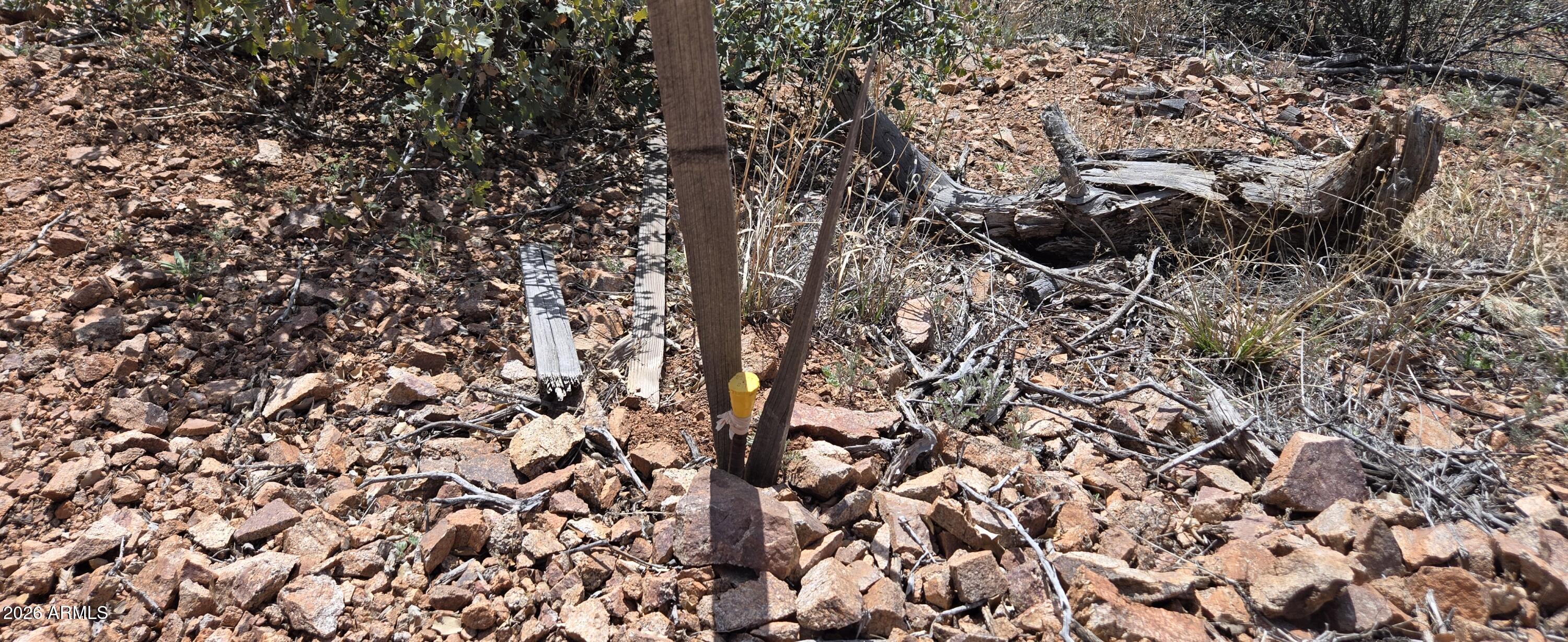 FOREST TRAILS UNIT 4 PHASE 5 REPLAT - Land