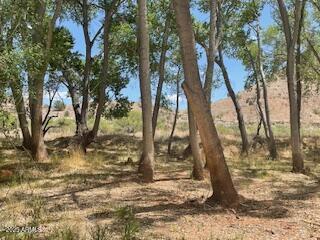 5 Acres or More - Residential