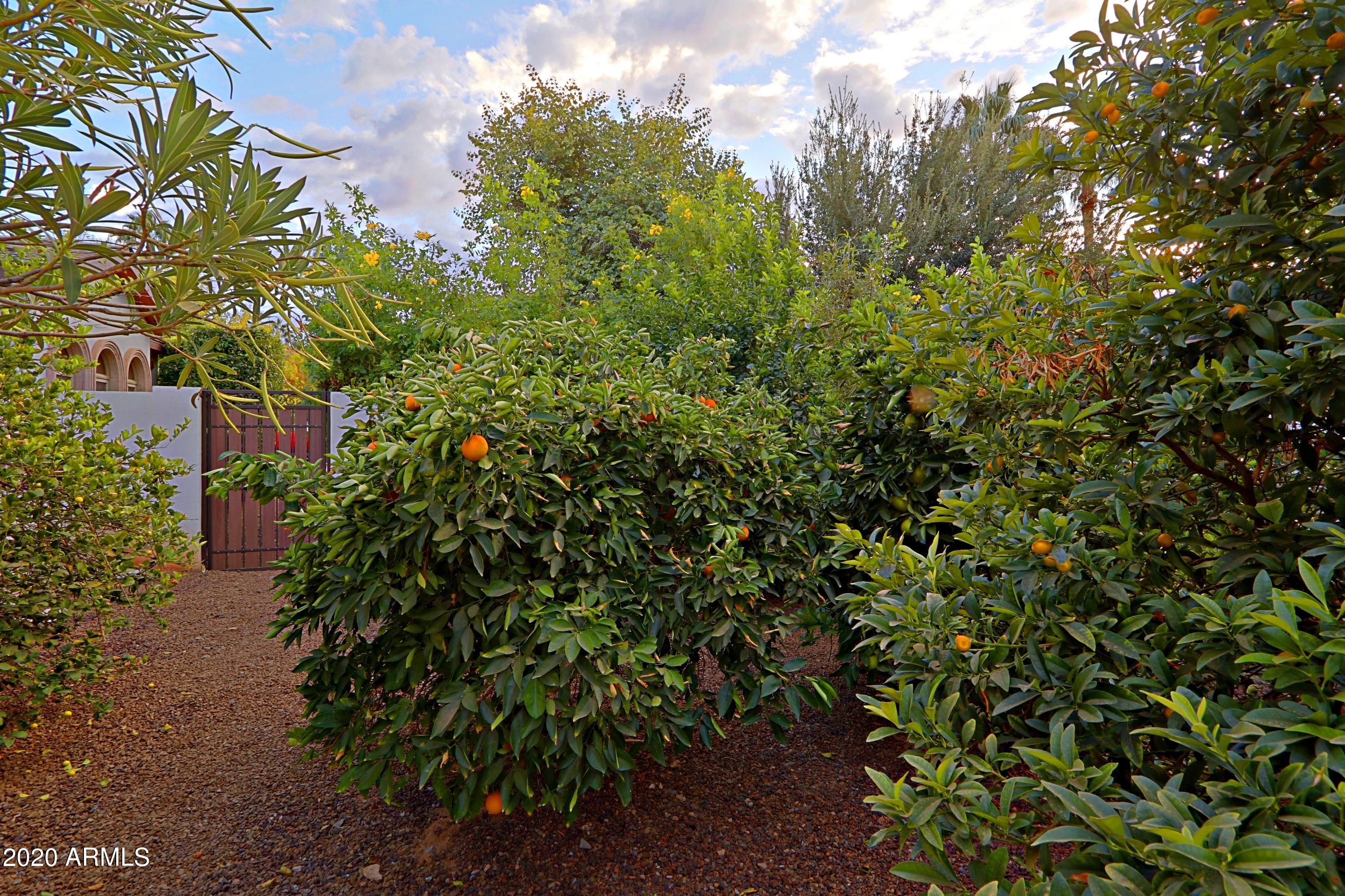 Foothills Estate - Residential