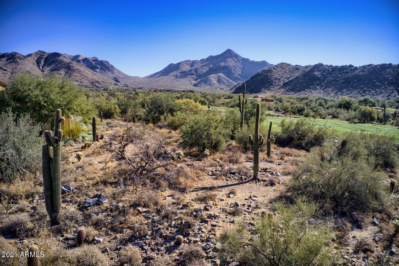 SILVERLEAF - Land