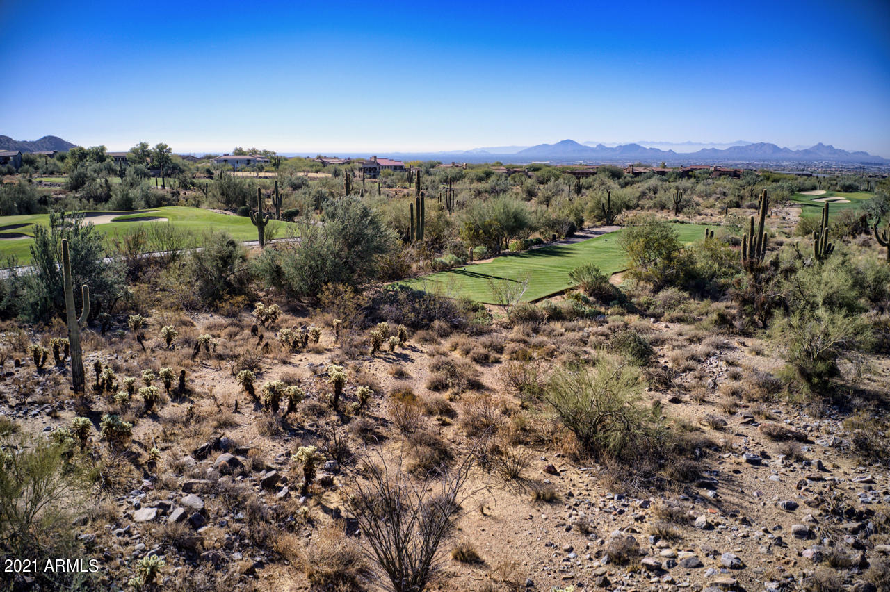 SILVERLEAF - Land
