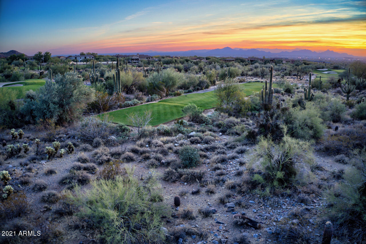 SILVERLEAF - Land