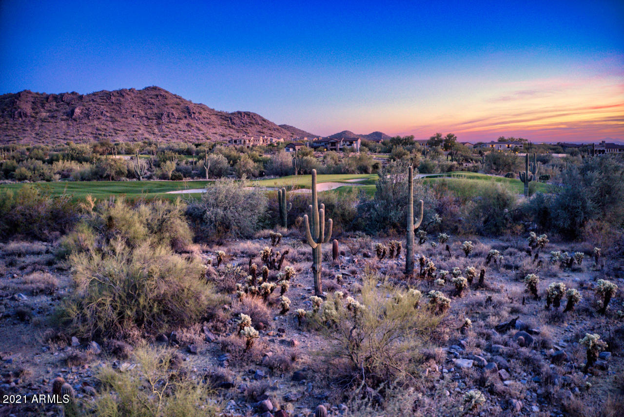 SILVERLEAF - Land