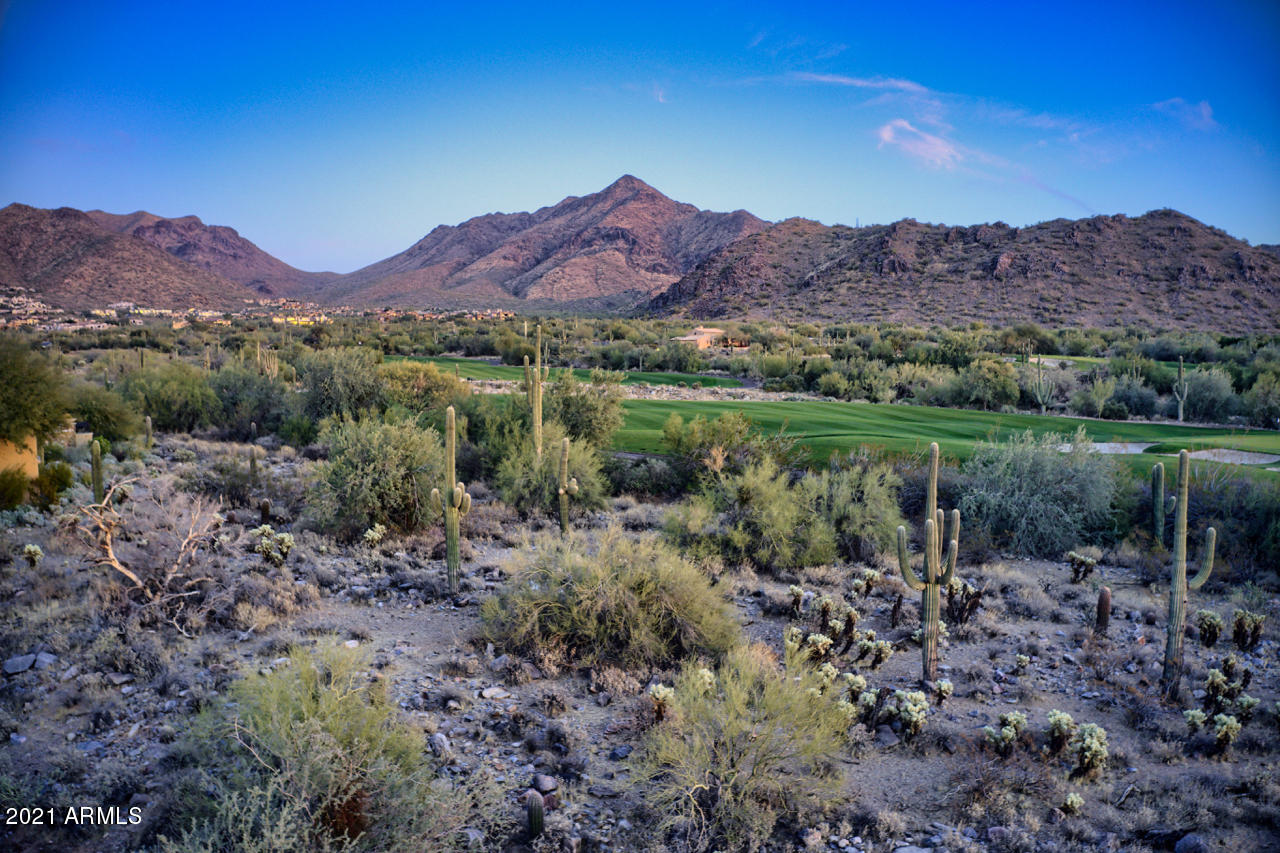 SILVERLEAF - Land