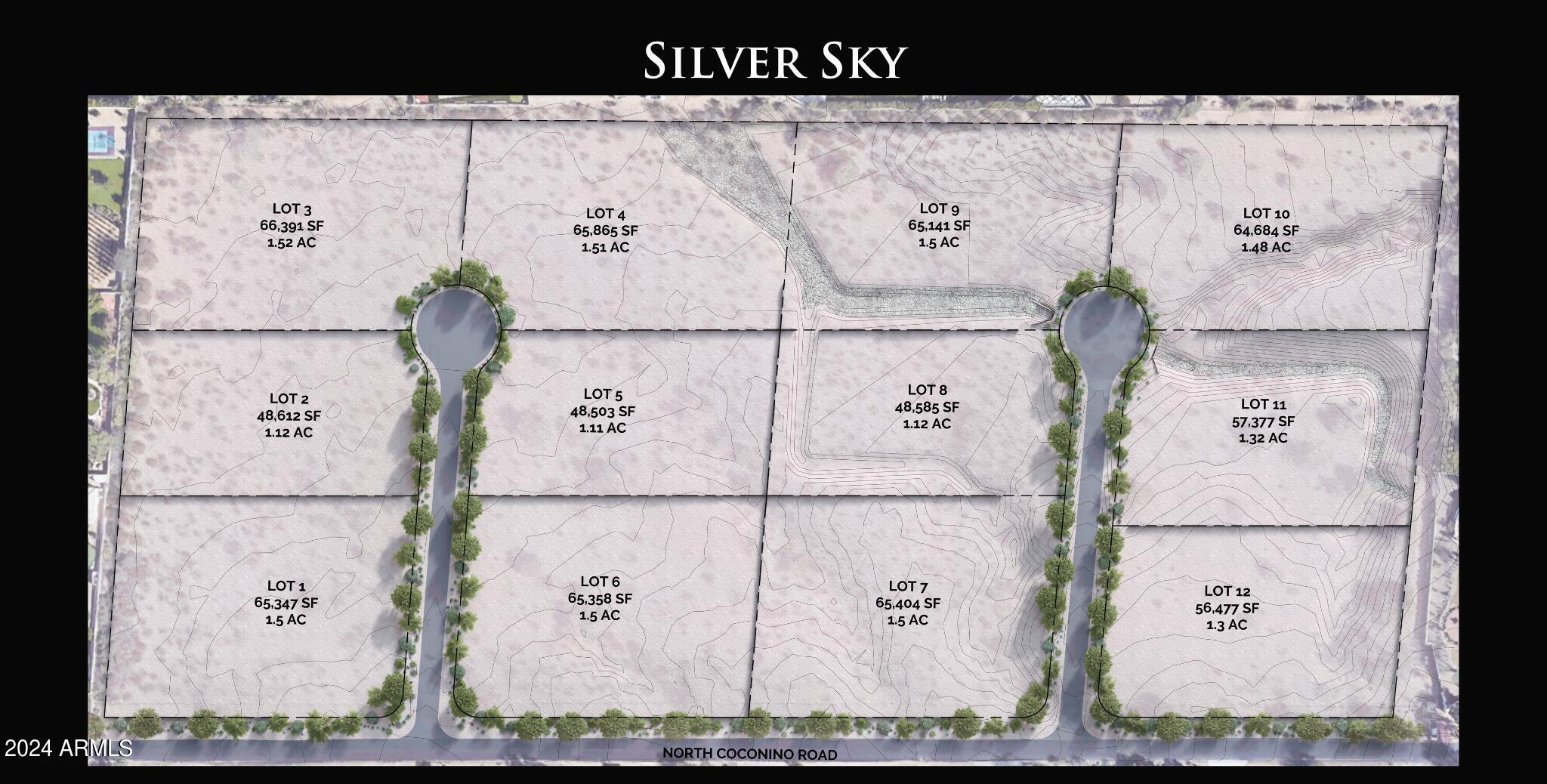 SILVER SKY - Land