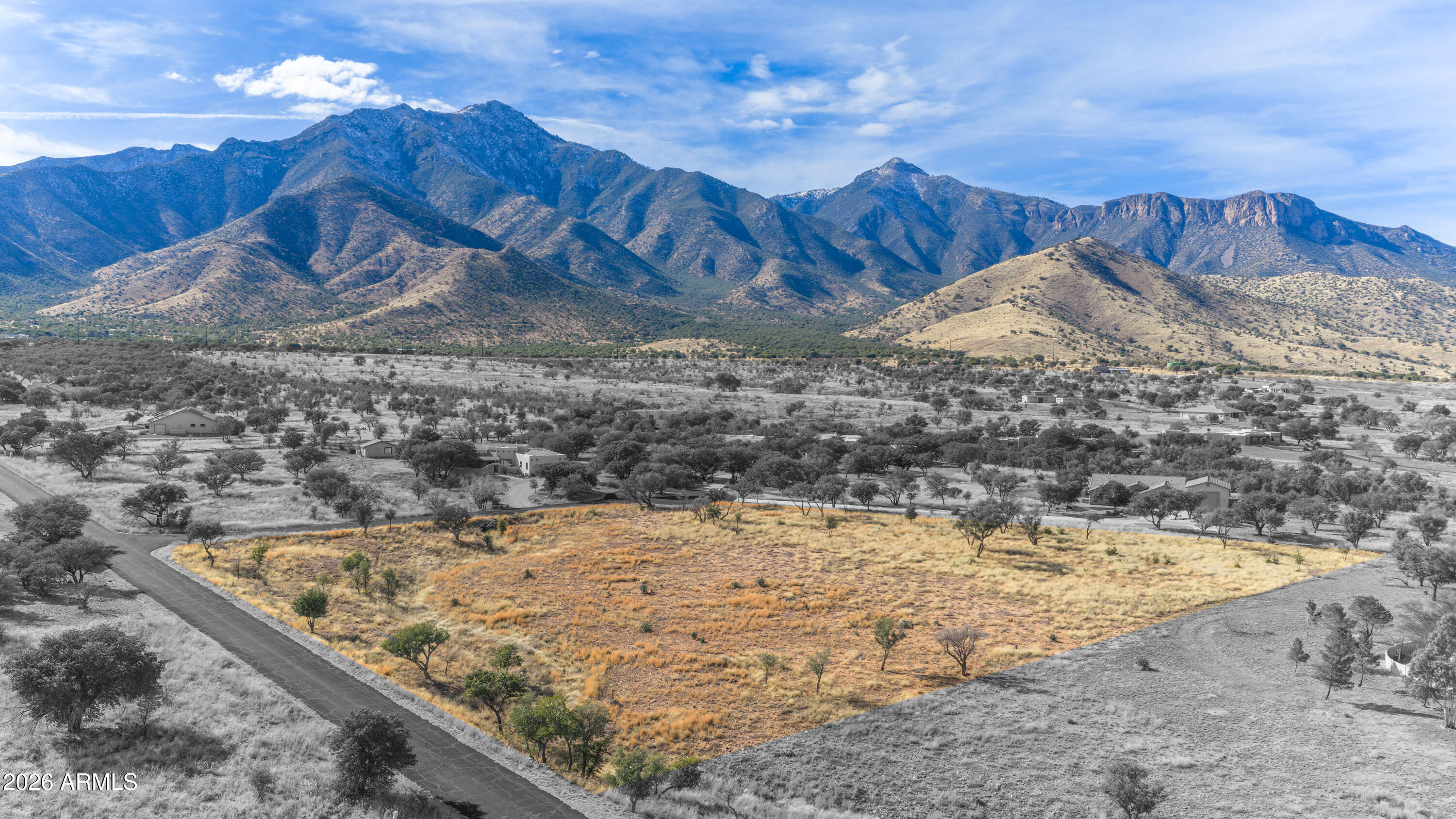 Wild Horse - Land