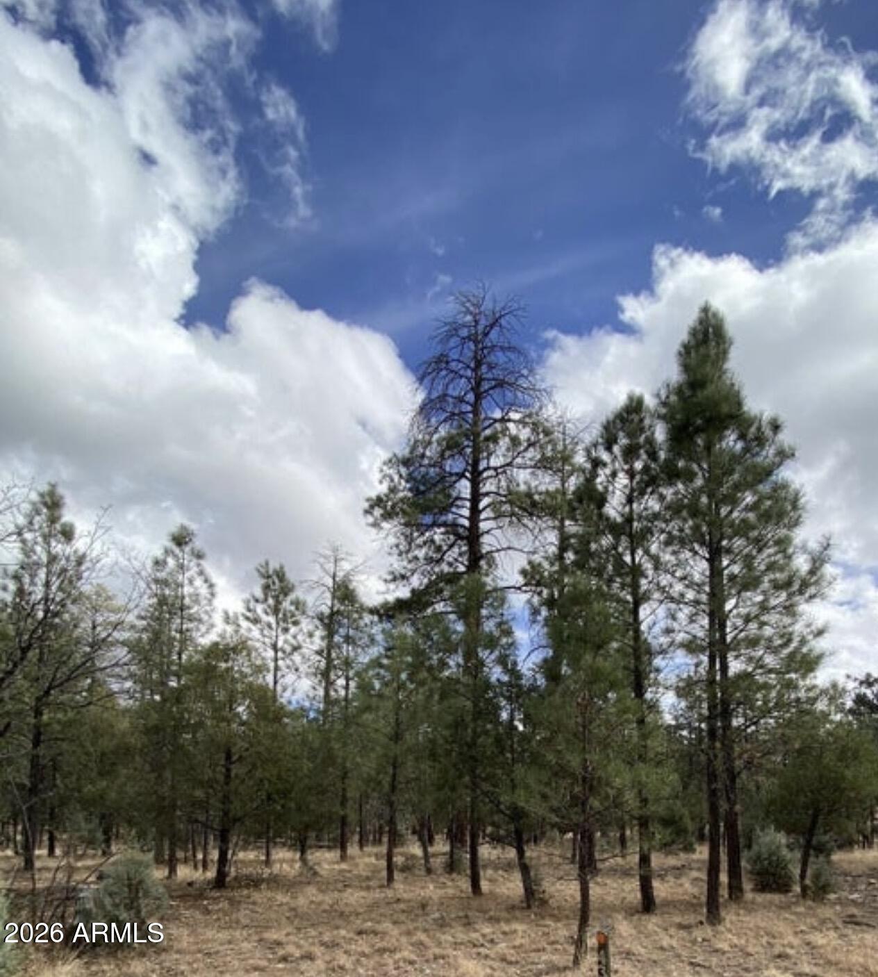 Build your dream mountain retreat on this beautiful 0.89-acre cul-de-sac lot in the prestigious Pine Canyon community of Happy Jack, Arizona. This heavily treed homesite is surrounded by towering Ponderosa Pines and majestic Alligator Junipers, offering exceptional privacy and a peaceful forest setting. Paved roads, community water, and power are available at the lot line, making it easy to begin planning your custom home. Preliminary design and building plans have already been started, giving you a head start on your vision. Enjoy access to the Pine Canyon Clubhouse, a welcoming gathering place for property owners, and take advantage of the area's endless outdoor recreation, including nearby Coconino National Forest, scenic lakes, hiking trails, and off-road adventures.
