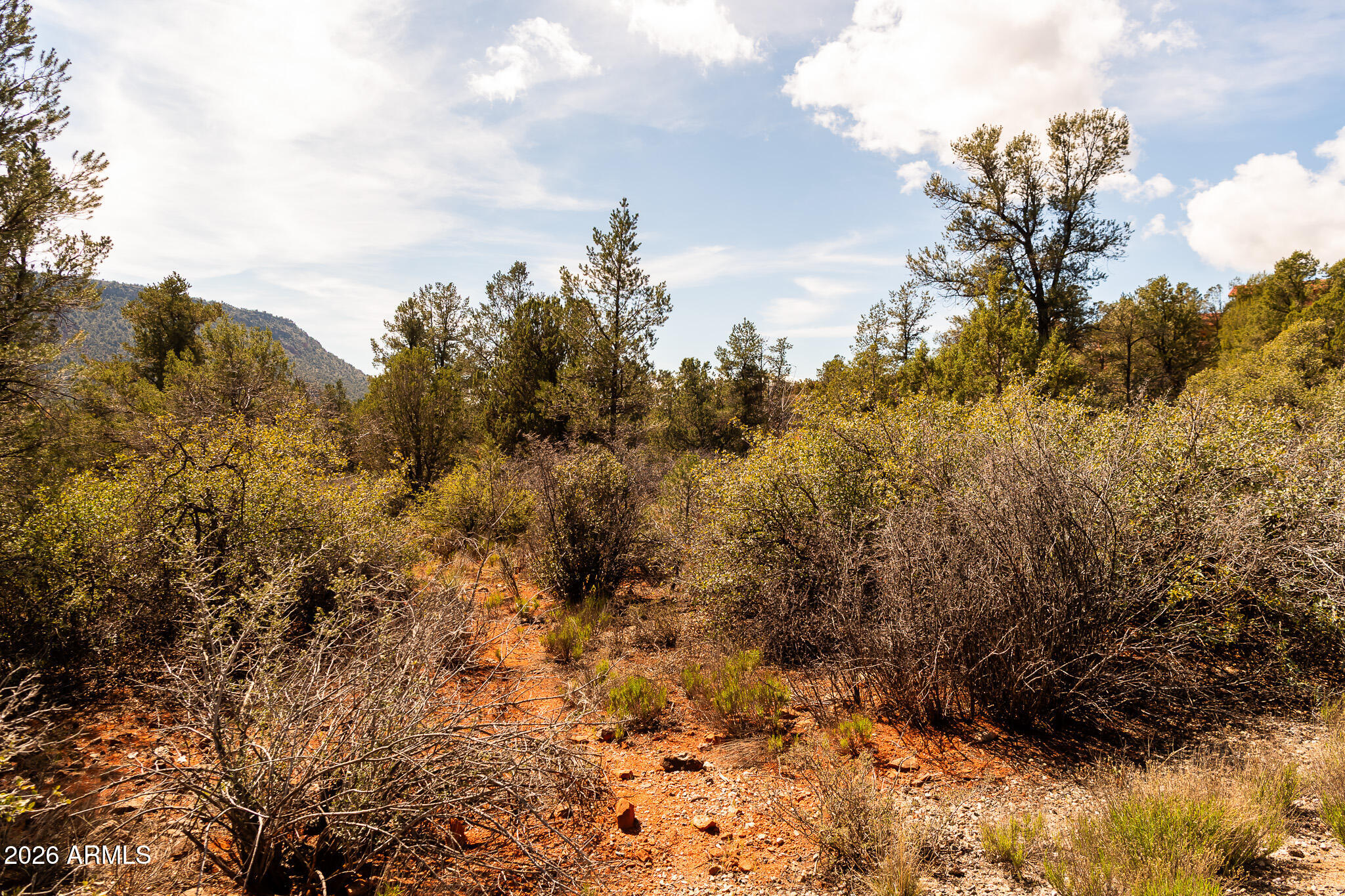 PINON VALLEY ESTATES - Land