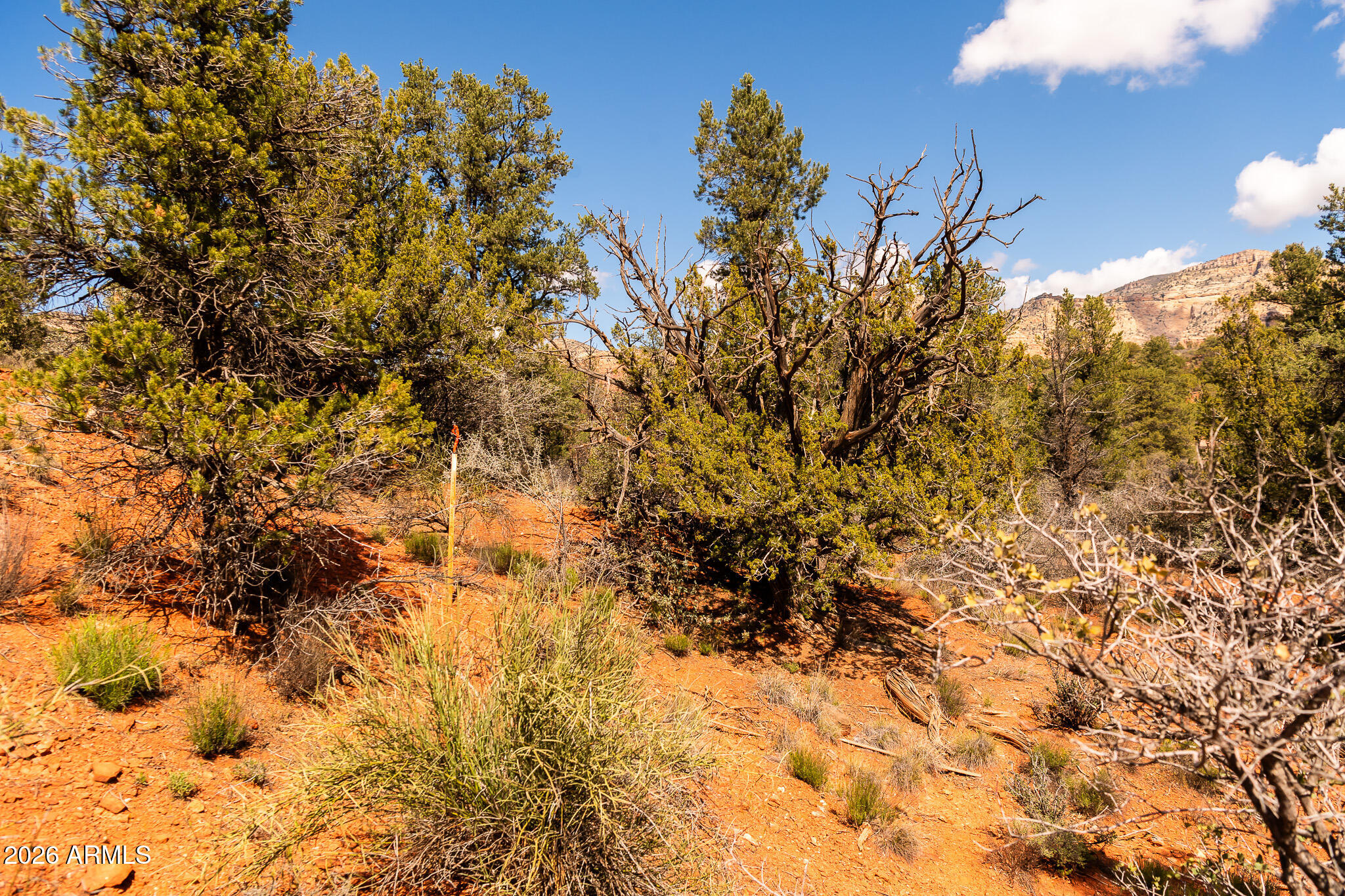 PINON VALLEY ESTATES - Land