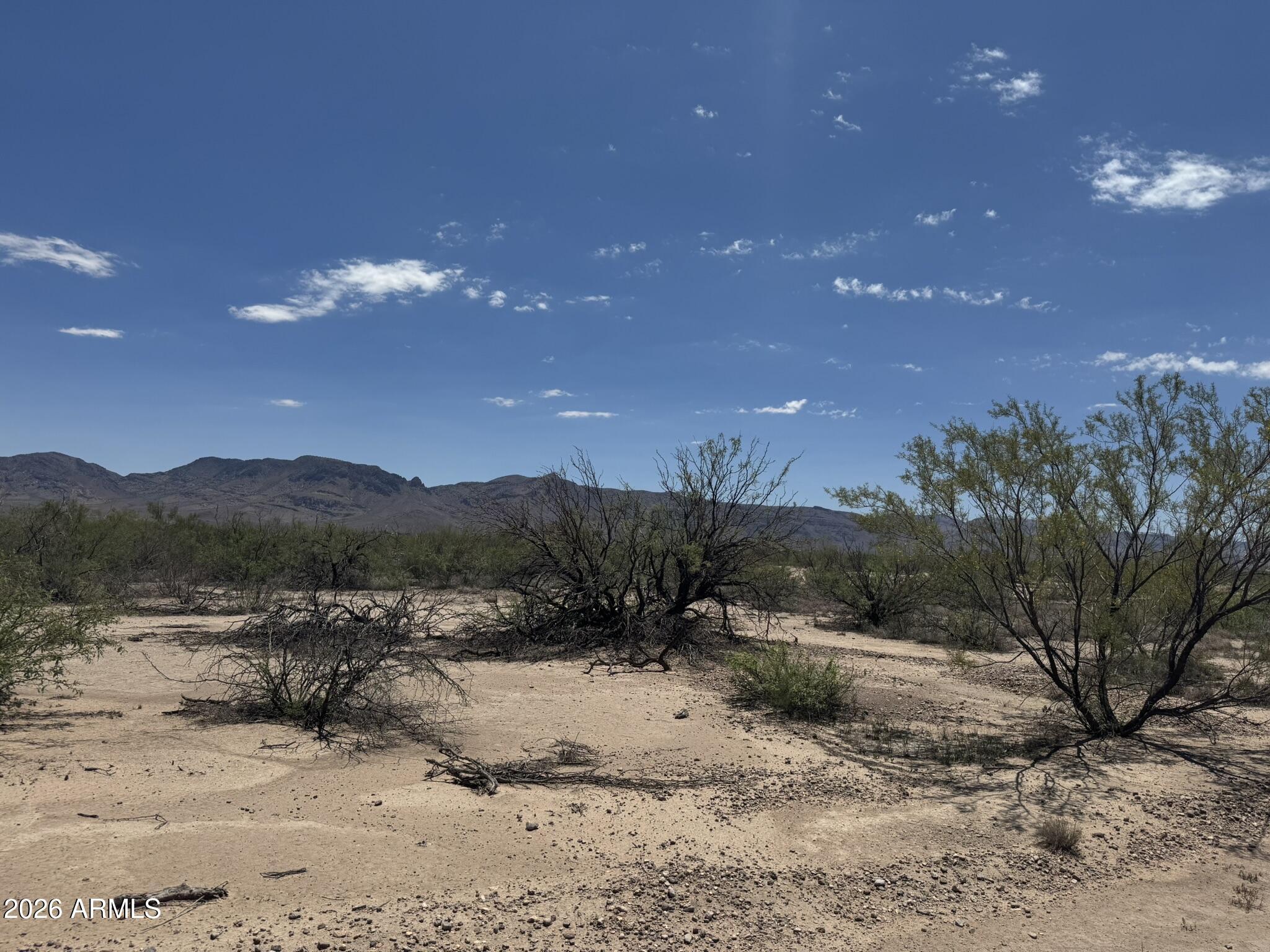 RODEO RANCHES - Land