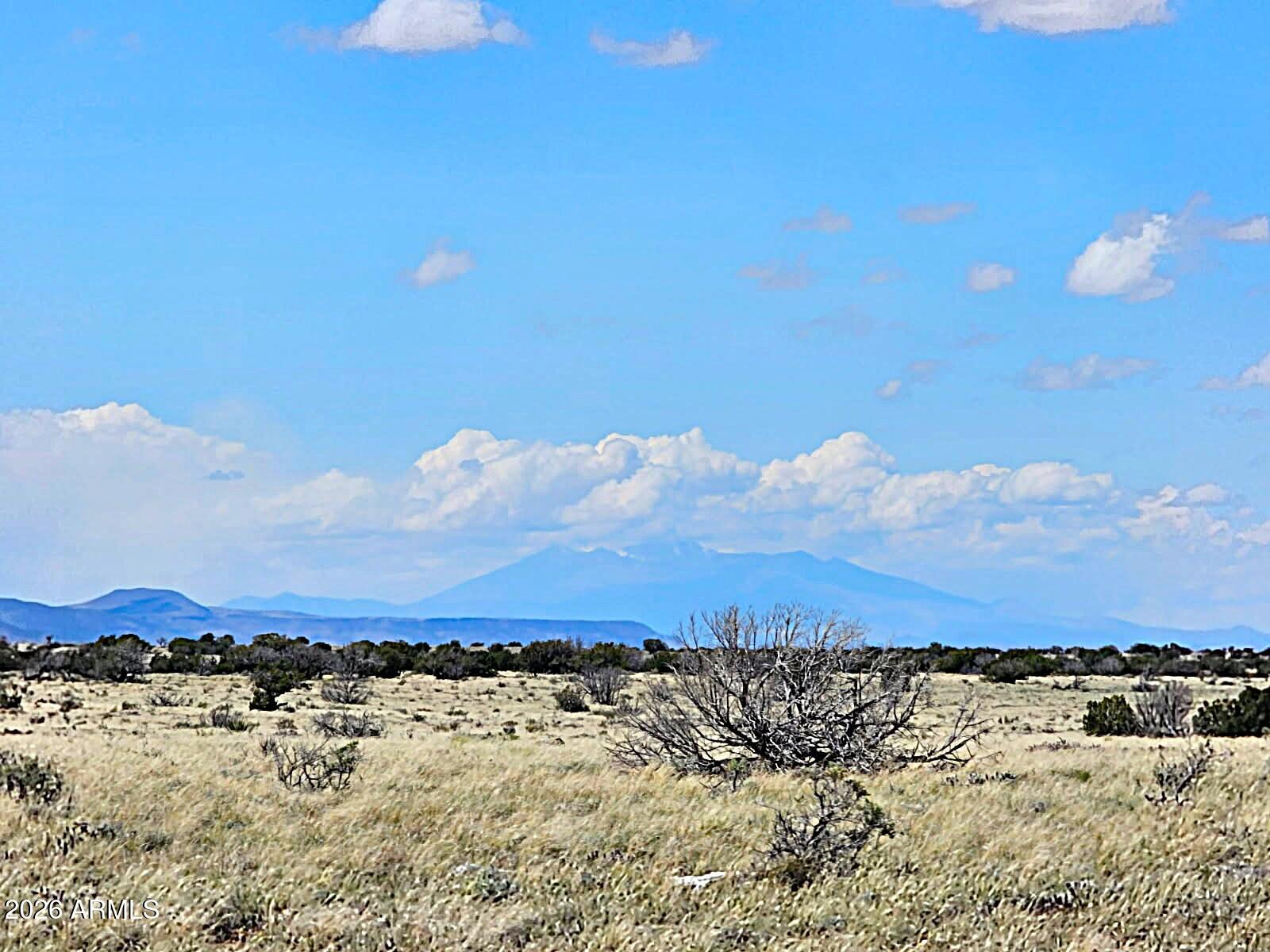 Magnificent Views!  Peaceful!  Easy to access!  This 36.36 acre parcel is located in Chevelon Canyon Ranch Unit 3.  The HOA privately maintains the roads and provides free water access at Well #2 which is approximately 2 1/2 miles from the property.  The views are endless - Humphrey's Peak north of Flagstaff can easily by viewed with the naked eye from your property!  Site built homes, manufactured homes, guest homes, ranching, agricultural use, or just the simplicity of outdoor camping and recreation are some of the authorized uses of this property!