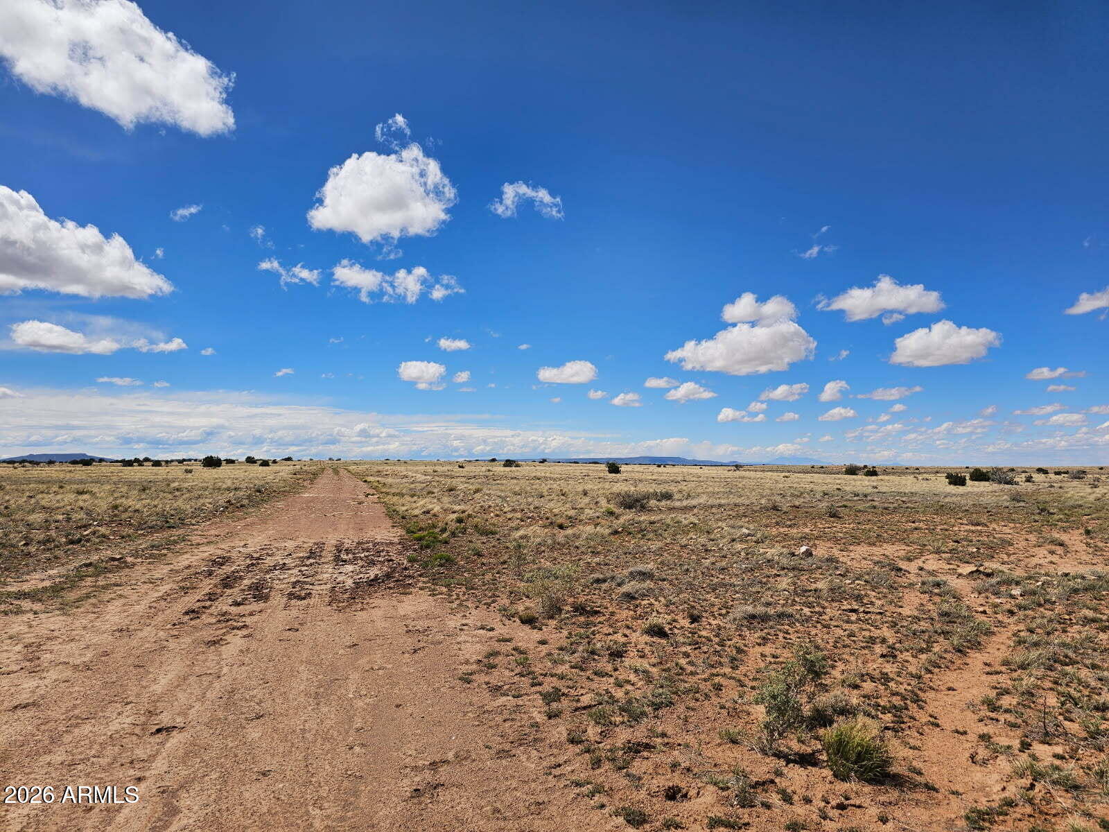 CHEVELON CANYON RANCH UNIT 3 - Land