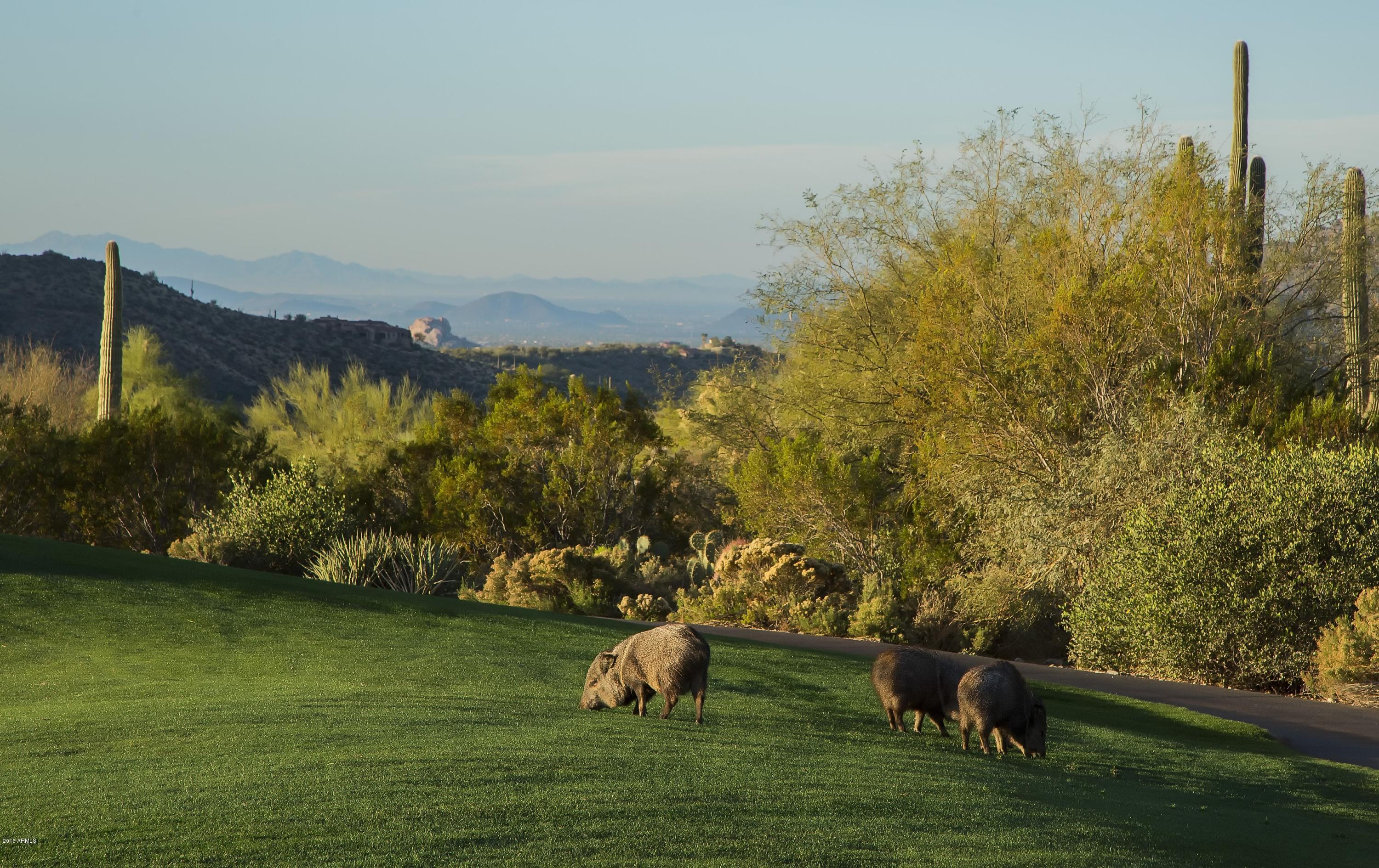 DESERT MOUNTAIN - Residential