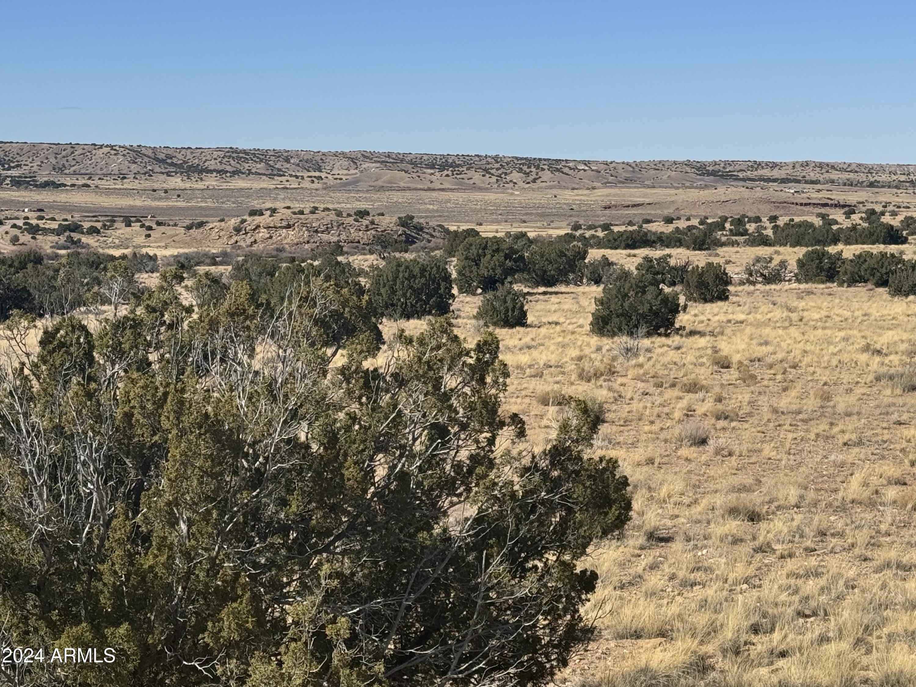 RIVER SPRINGS RANCH UNIT 8 - Land