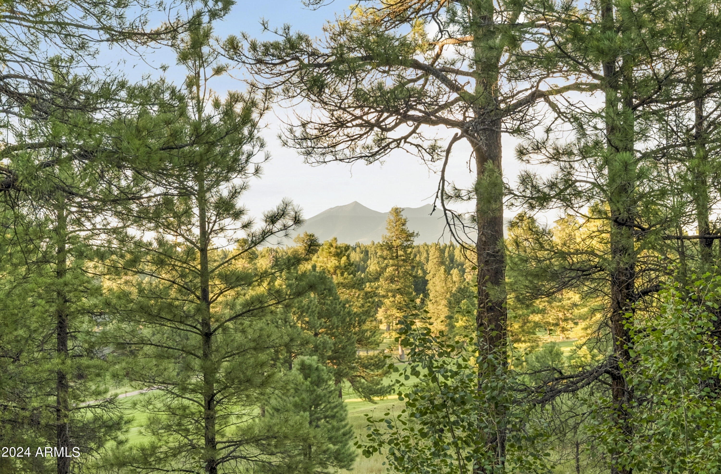 Forest Highlands - Residential