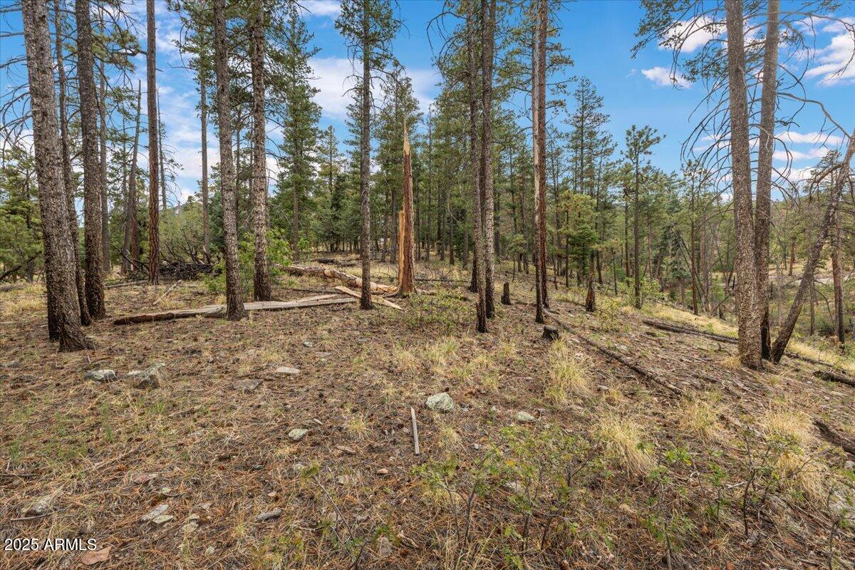 Beautiful .81-acre lot located in Copper Mountain Estates of Alpine, AZ. This parcel offers a level building site for a site-built home and a great view of the small canyon in the back and year-round access. Utilities available at the lot line, including power and water. Ideal location for a mountain getaway or full- time residence, with easy access to national forest, lakes, and outdoor recreation. Just minutes from Alpine's town center.