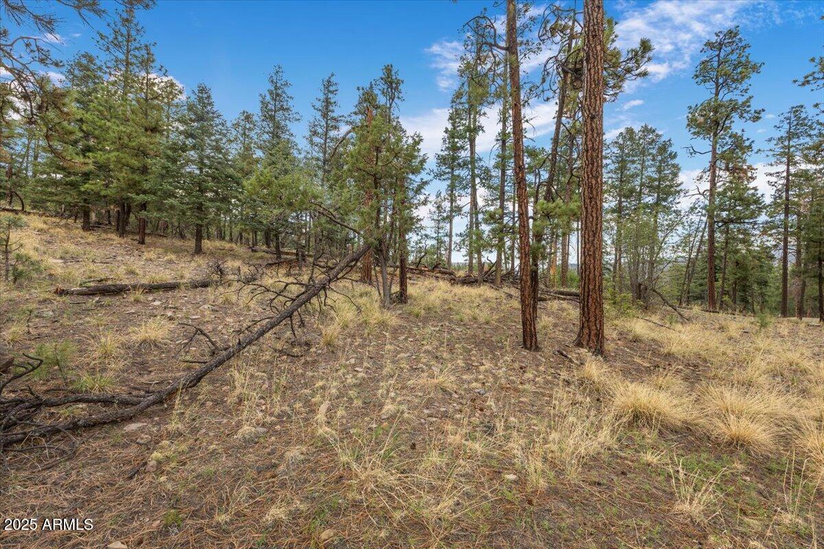 ALPINE VILLAGE ACRES - Land