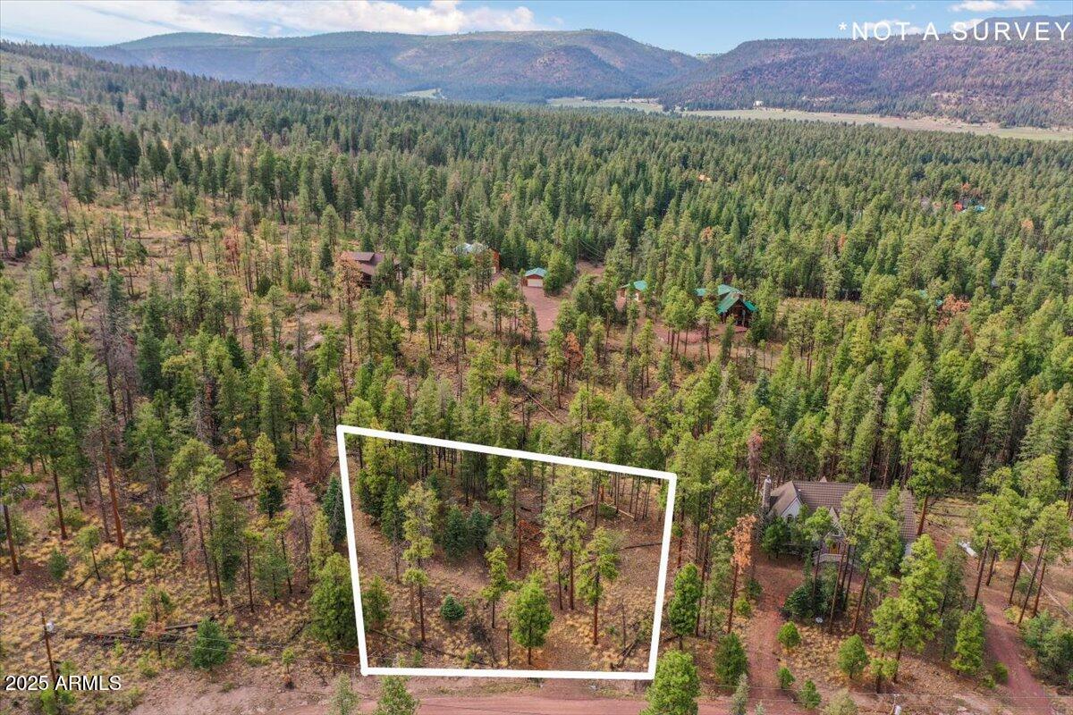 ALPINE VILLAGE ACRES - Land
