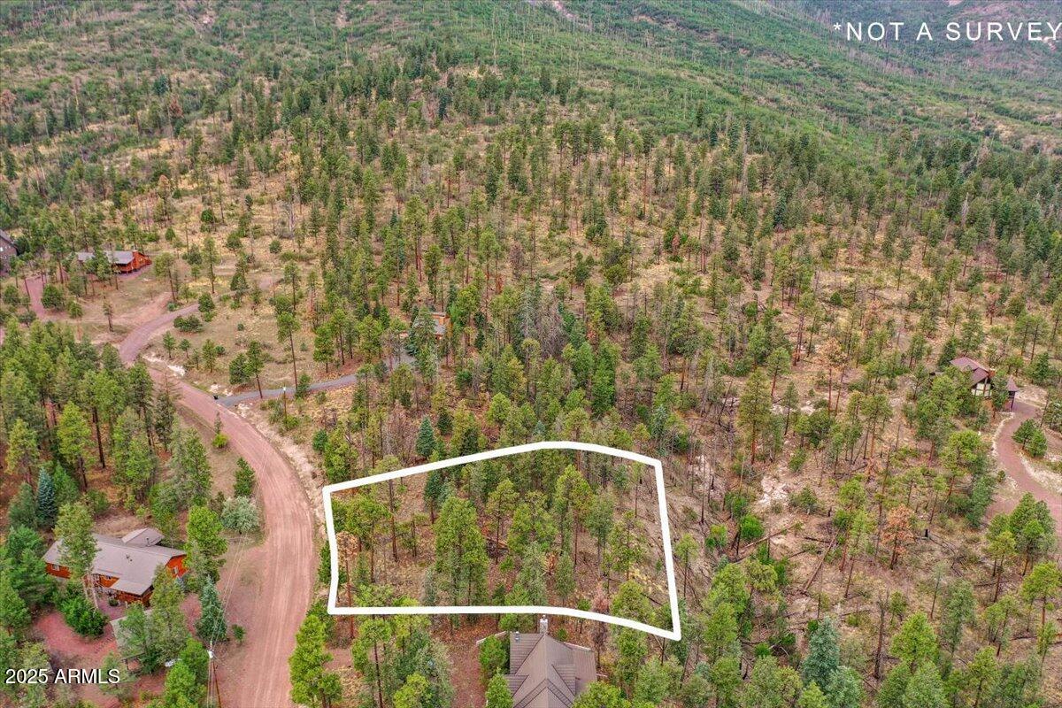 ALPINE VILLAGE ACRES - Land