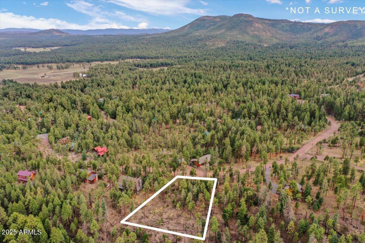 ALPINE VILLAGE ACRES - Land