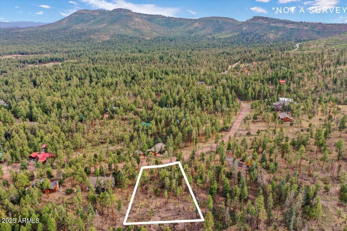 ALPINE VILLAGE ACRES - Land