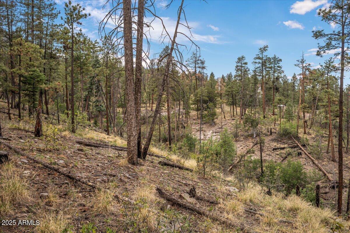 ALPINE VILLAGE ACRES - Land