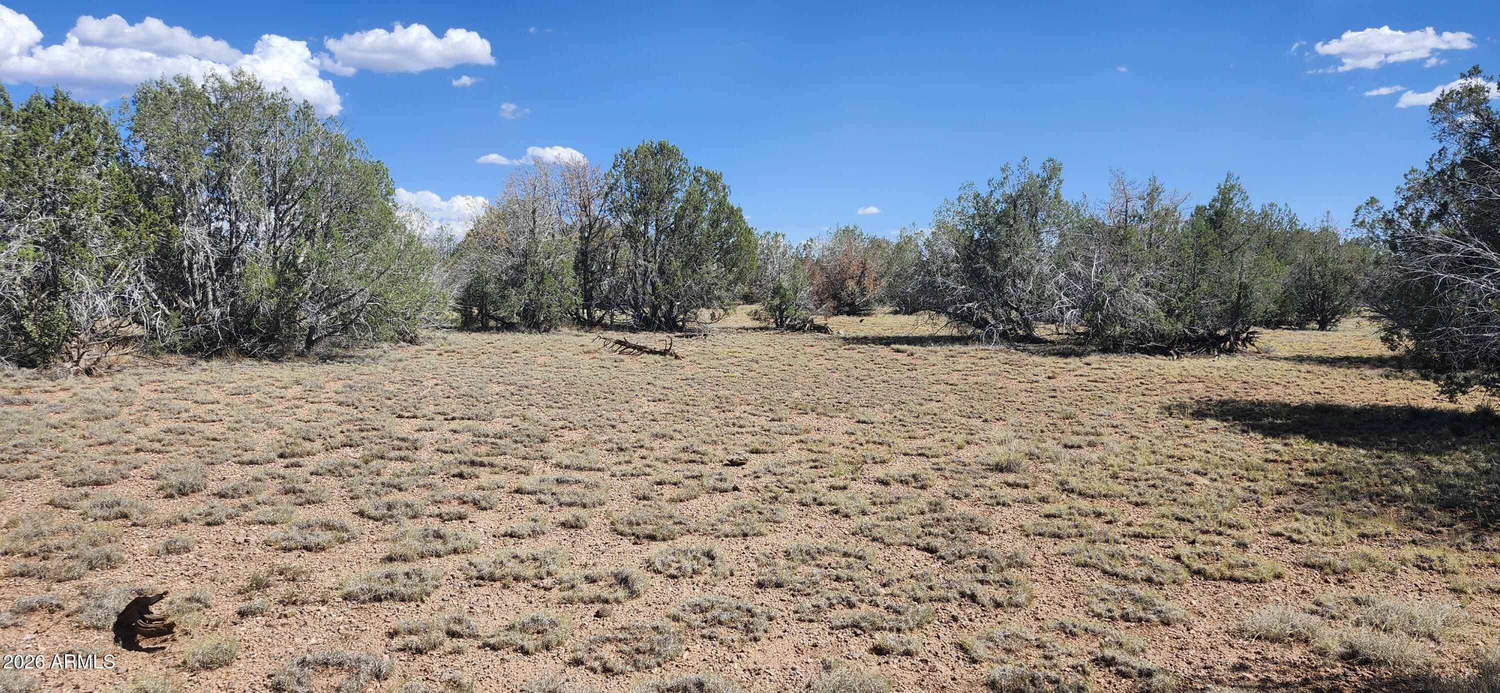 Seller Financing Available! Own 60.10 acres in Jack Rabbit Run backing directly to the Coconino National Forest and create your ideal Northern Arizona retreat.  Build the featured home with the seller or design your own custom home with the builder of your choice (subject to applicable approvals). House plans, a perc test, and a drone survey identifying a potential building site are included and available for review.  Enjoy wide-open spaces, breathtaking mountain views, and direct access to the National Forest from your property. Ideal for a private residence, recreational getaway, ranch, or investment. Horse-friendly with a 50-foot round pen, three 20' x 20' corrals with partial shade covers, a 20' shipping container (currently used as a tack room), 500-gallon and one 2,500-gallon holding tanks, and partial fencing along the north property line and full fencing to the east and south boundaries.