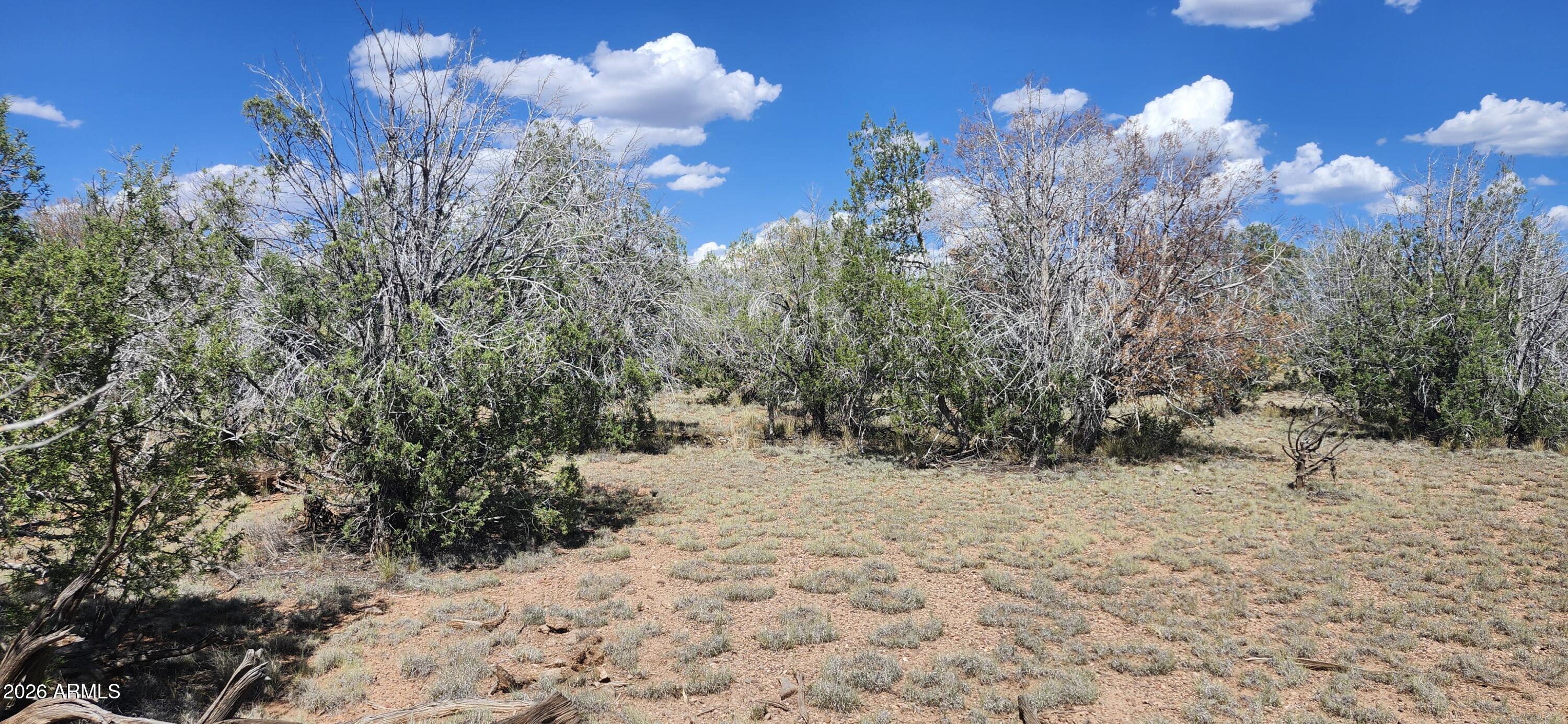 Kaibab West Est - Land