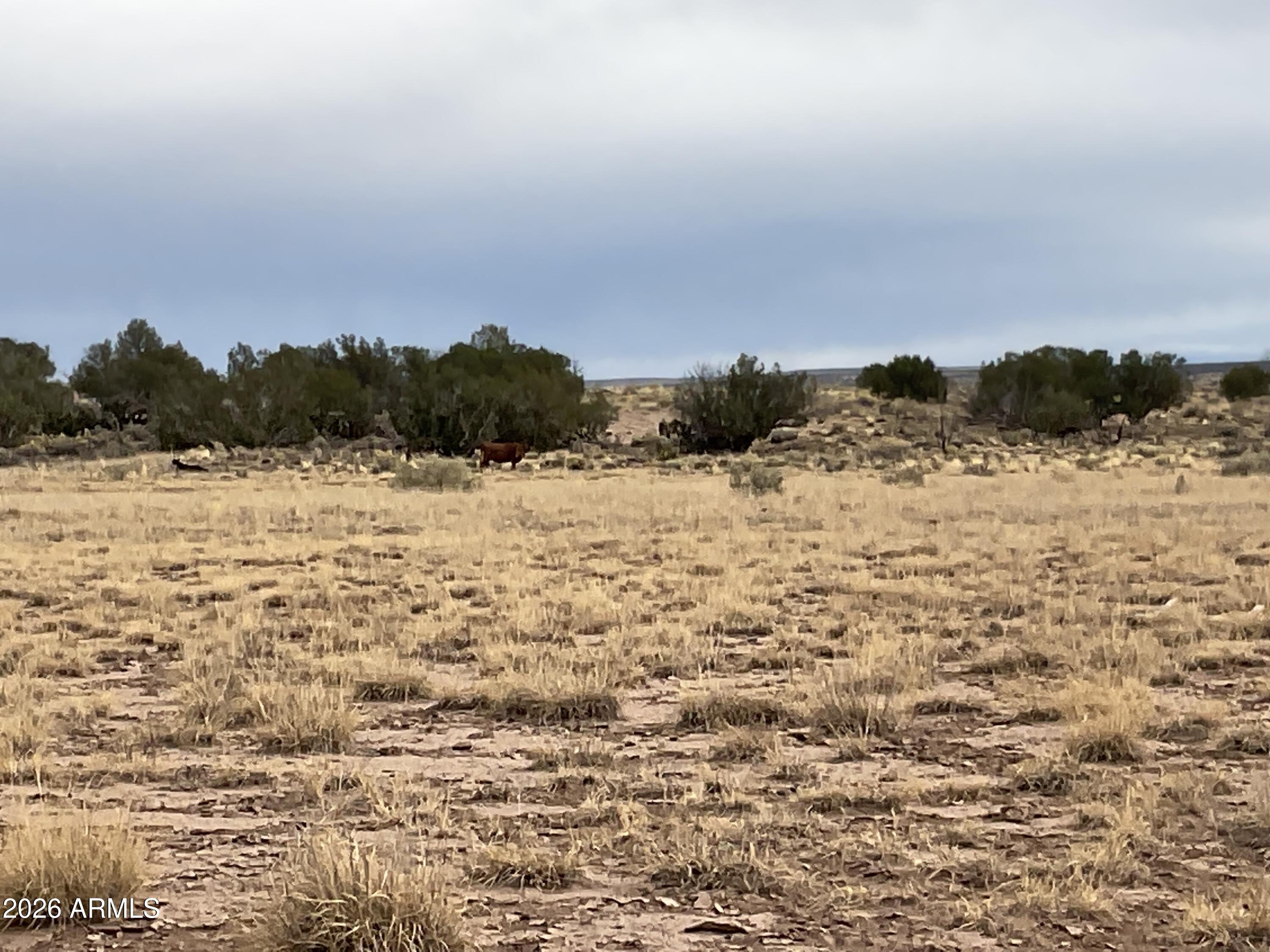 Woodland Valley Ranches - Land