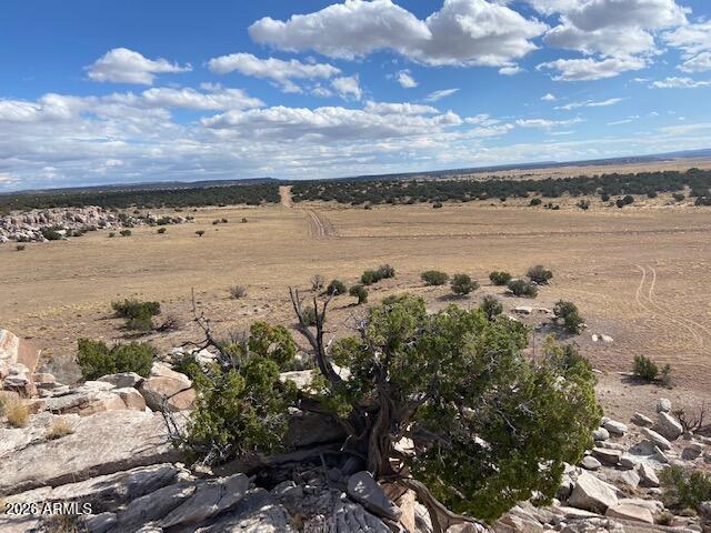 Dramatically reduced to sell this summer!  Over 80 acres, in two parcels, one borders State Trust Land, located in Eastern AZ for only $39,850!  At an elevation of 5,280, experience cooler summer temps and mild winters.  Diverse landscape with a mix of meadow, trees and dramatic rock outcroppings.  Off-grid location with maintained roads via the property owner association.  Good area to drill a well, or use the community well.  Convenient location near the town of St. Johns.  Experience the freedom, privacy, and endless possibilities that come with owning acreage in Arizona's beautiful mountain region.  Woodland Valley Ranches has a Property Owners Association for roads and the well.  $480/yr for the 80 acres
