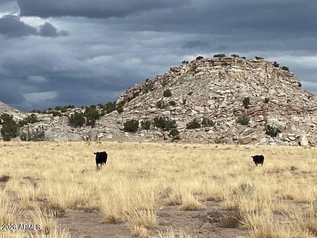 Woodland Valley Ranches - Land