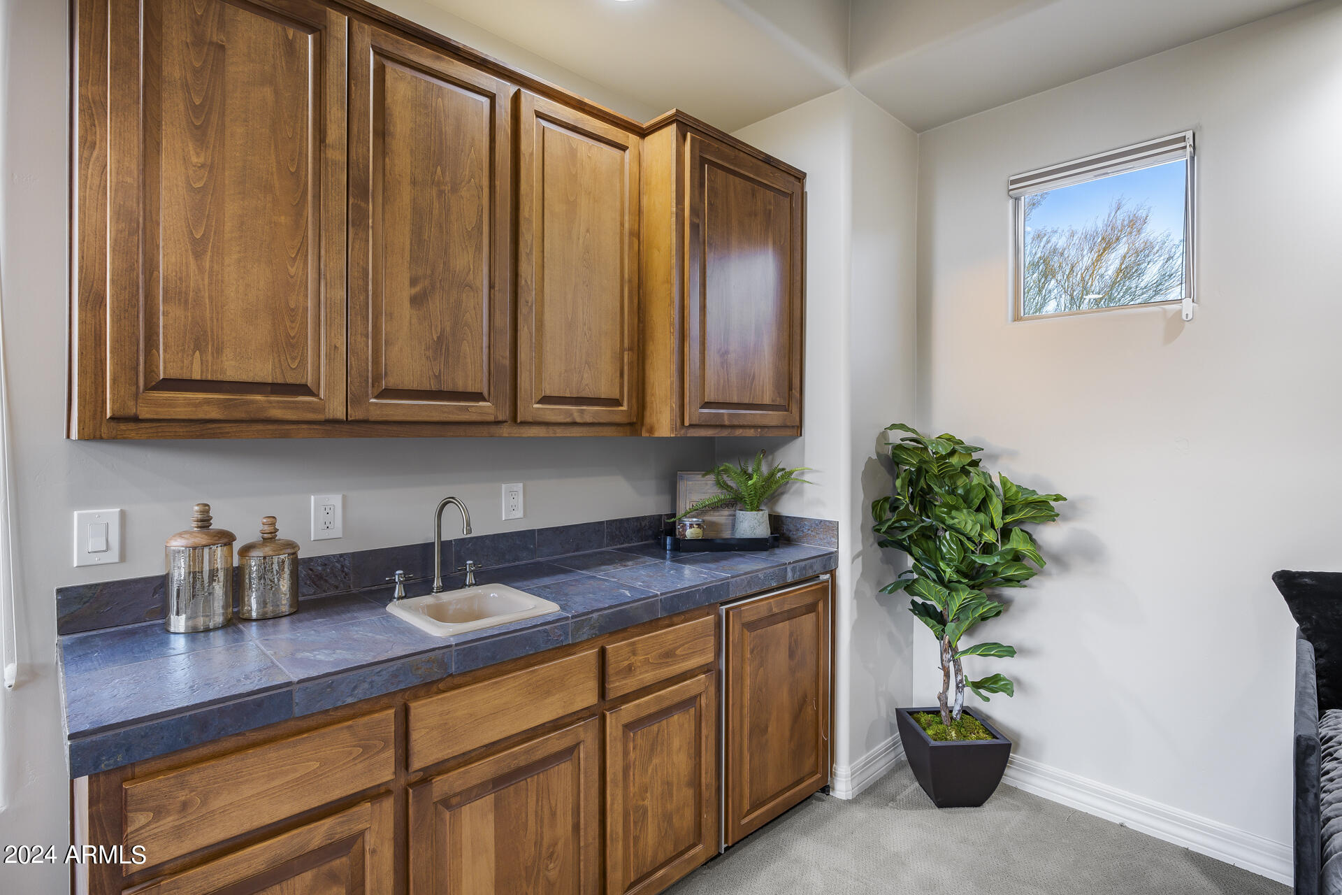 PINNACLE CANYON AT TROON NORTH UNIT 1 - Residential