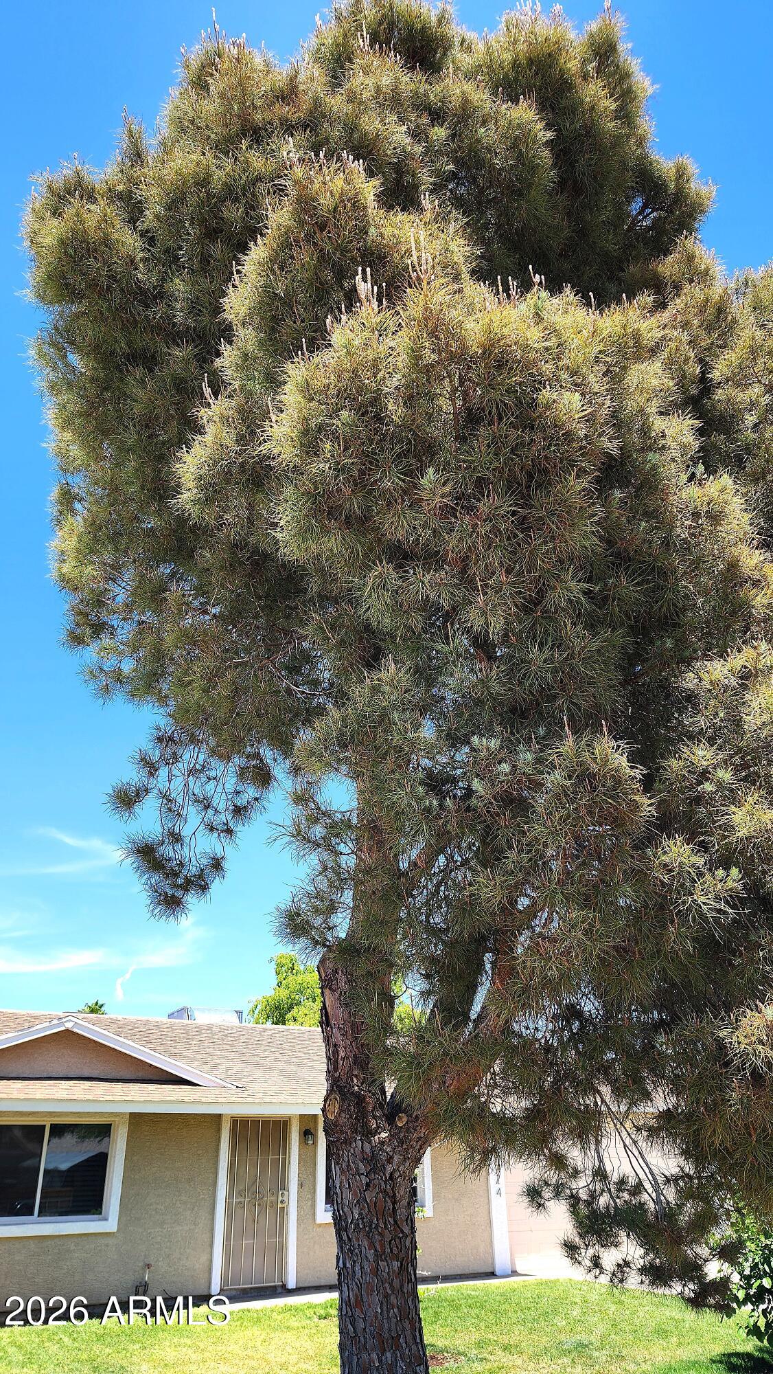 PARADISE VALLEY OASIS NO. 10 - Residential