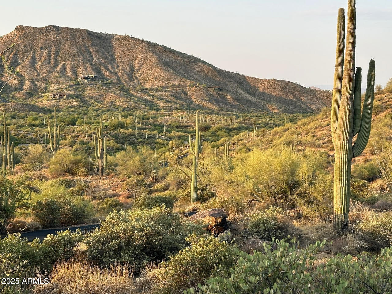 CAREFREE RANCH HOMESTEADS PHASE 1 REVISION 4 - Land