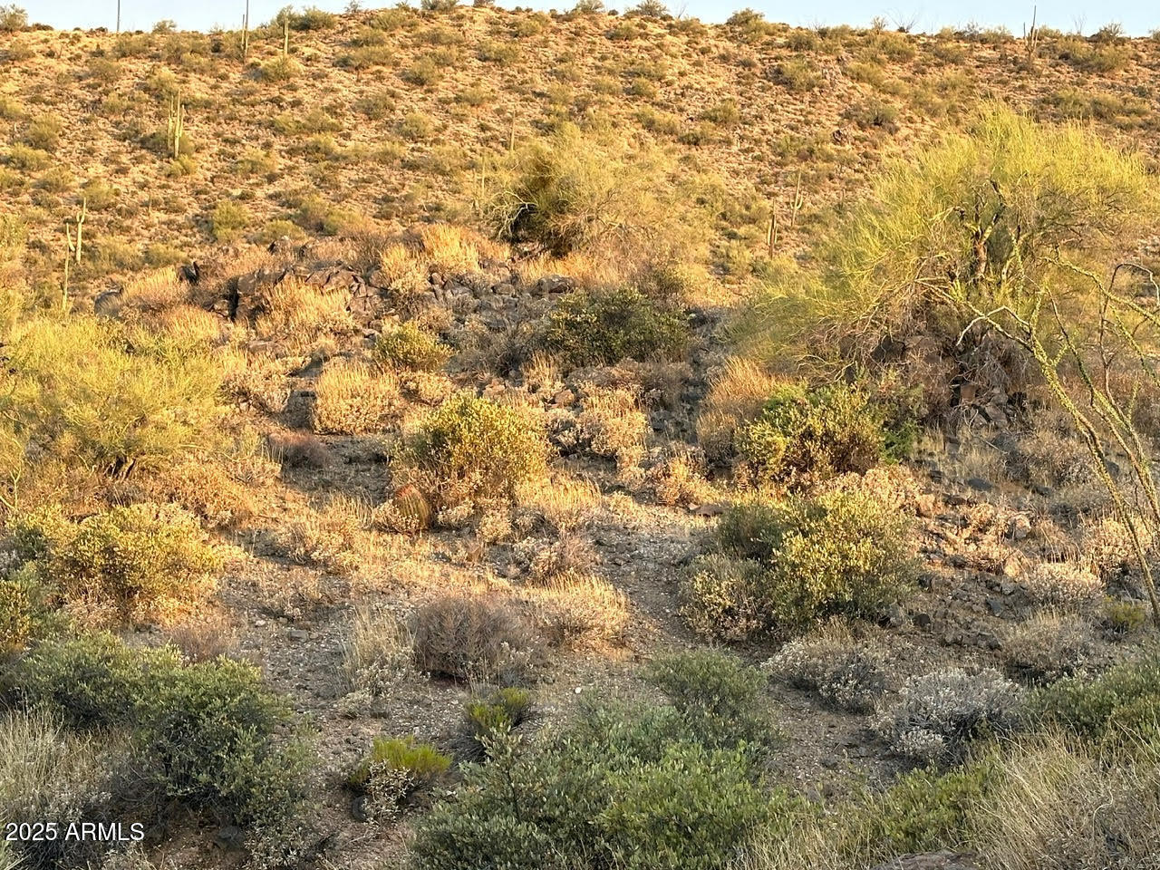 CAREFREE RANCH HOMESTEADS PHASE 1 REVISION 4 - Land