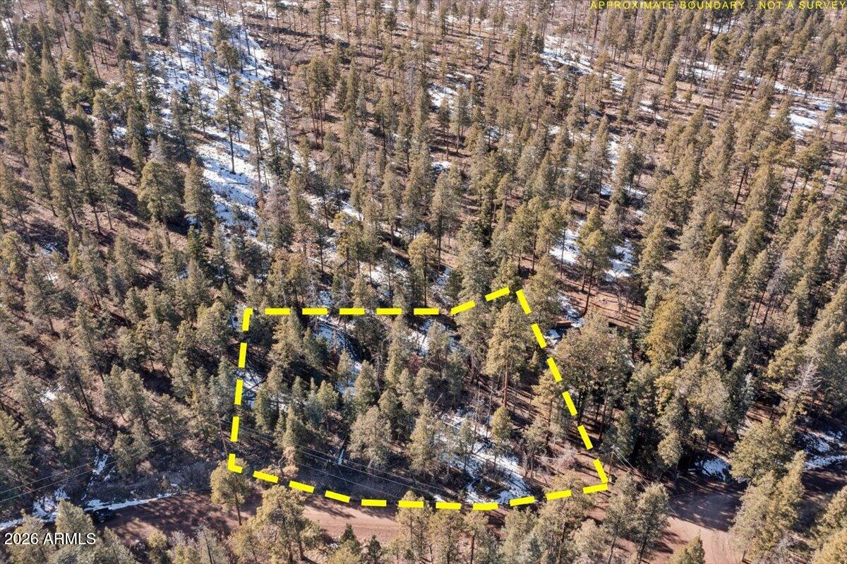 ALPINE VILLAGE ACRES - Land