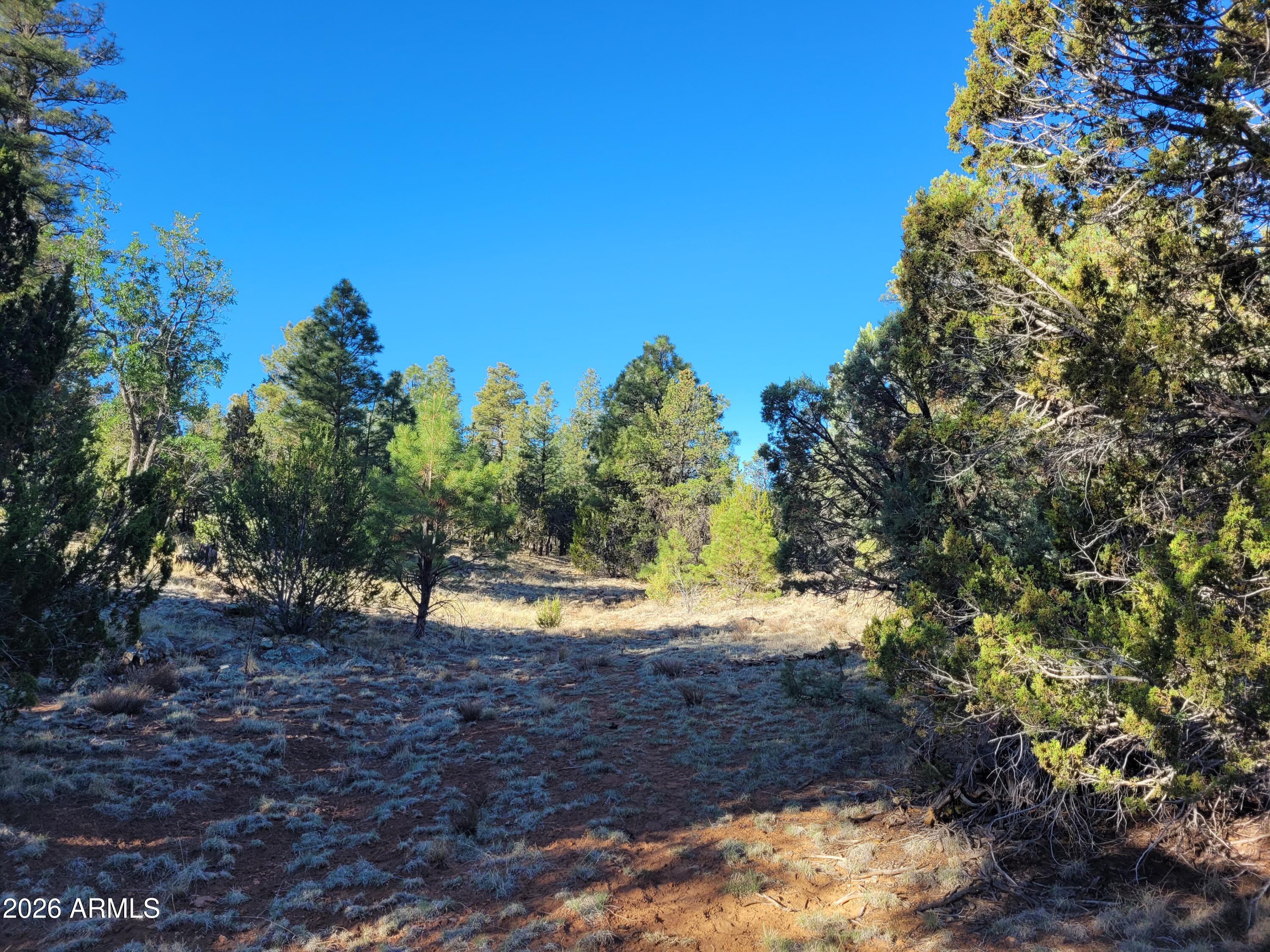 MOGOLLON RANCH 2 - Land