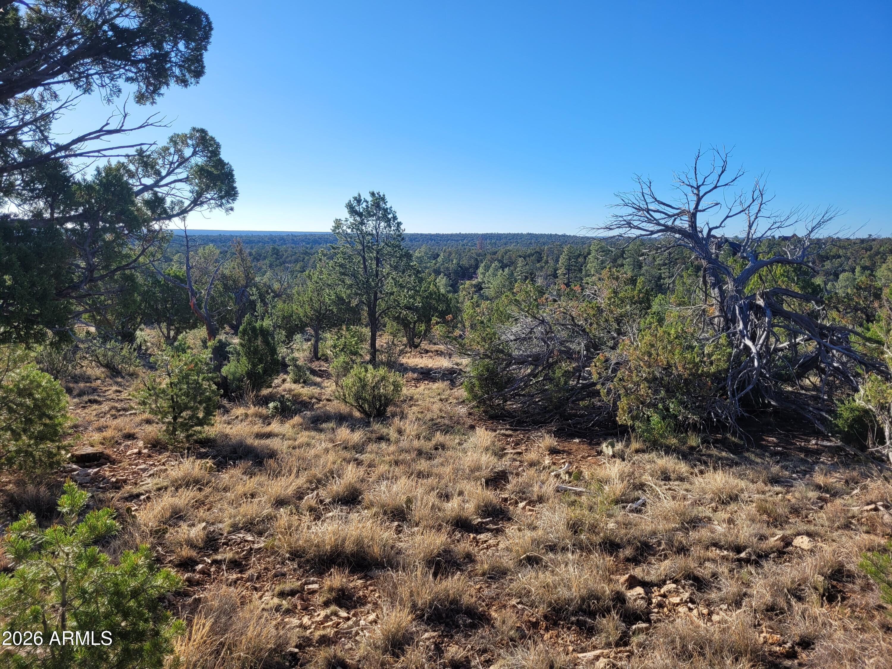 MOGOLLON RANCH 2 - Land
