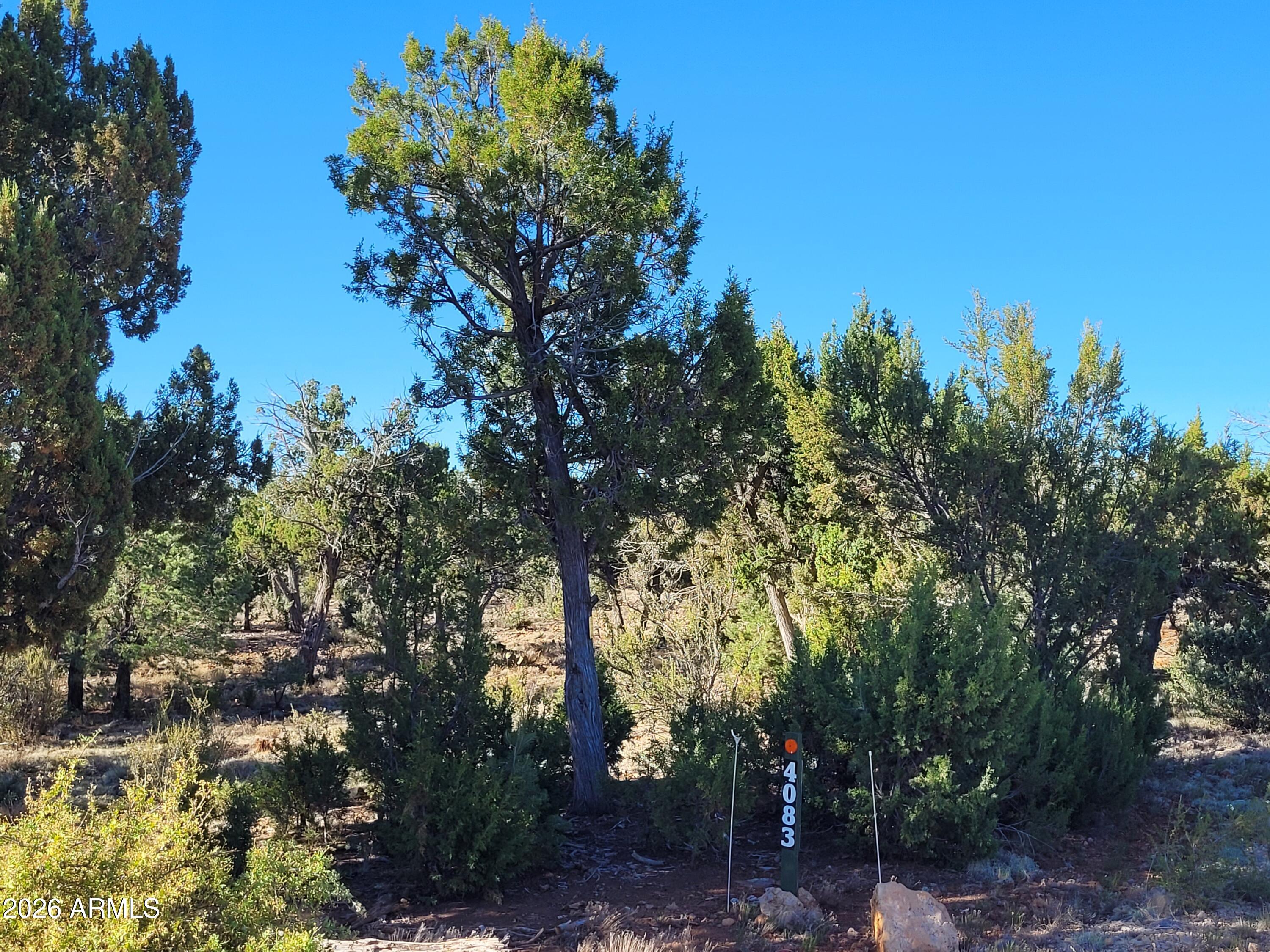Wow! 5 great acres to build your dream Mountain home/cabin.  Priced to sell $69,900. 4083 Sunset Ridge Loop in Happy Jack, Arizona. Located in the Equestrian friendly community of Mogollon Ranch.
Near the National Forest! Site build only allowed.  ADU is allowed! HOA is great to work with. HOA fee is 570 per qtr.  Buy as an investment or build.
No required timeline to start to build. Water is to the property.  It is a community Co-op Well. Electricity is to the property line. Telephone and cable are on the lot. You can fence your entire property if you choose. No camping allowed. CC&Rs available. No appt. required to tour this property. Sign on lot.